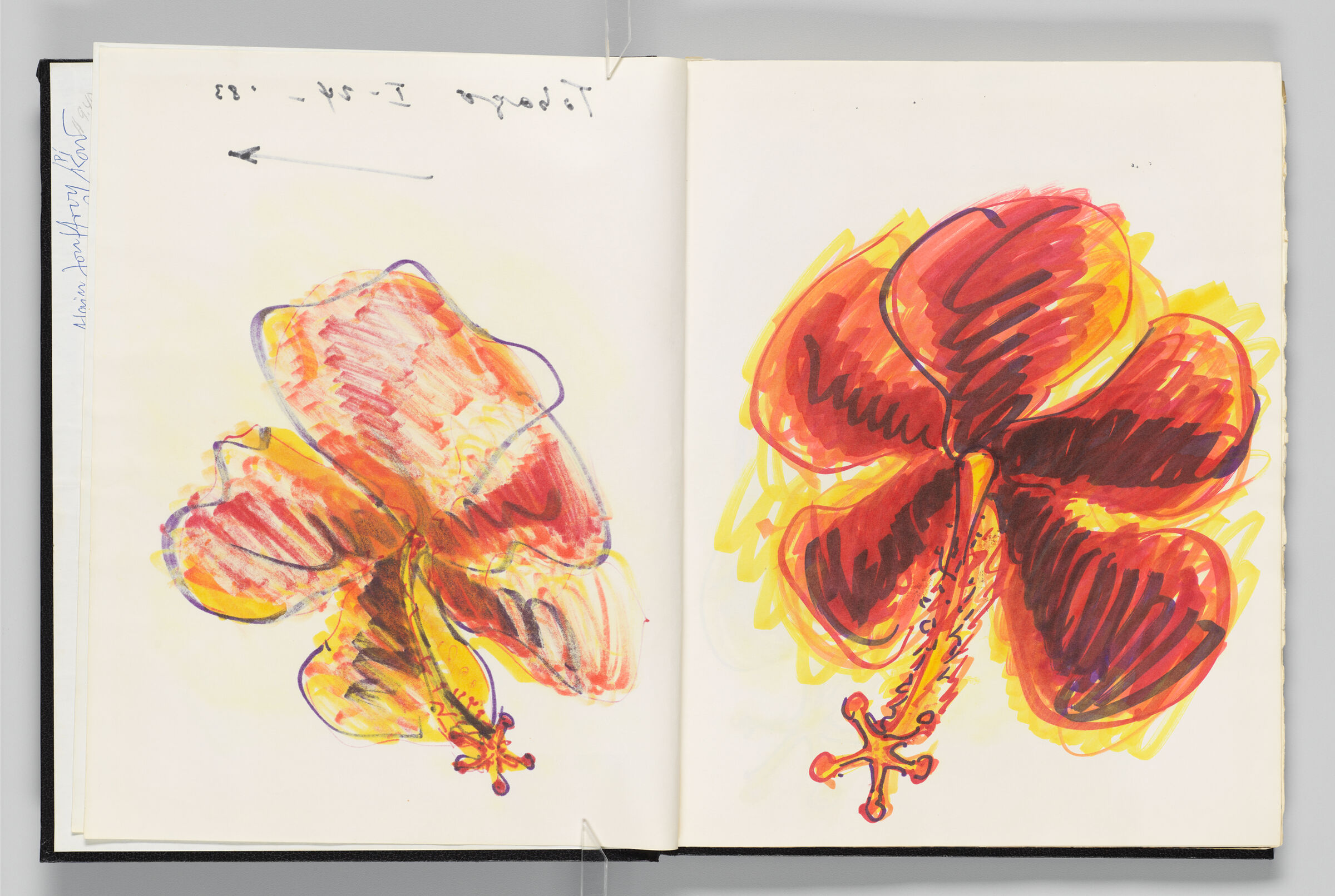 Untitled (Bleed-Through Of Previous Page, Left Page); Untitled (Hibiscus, Right Page)