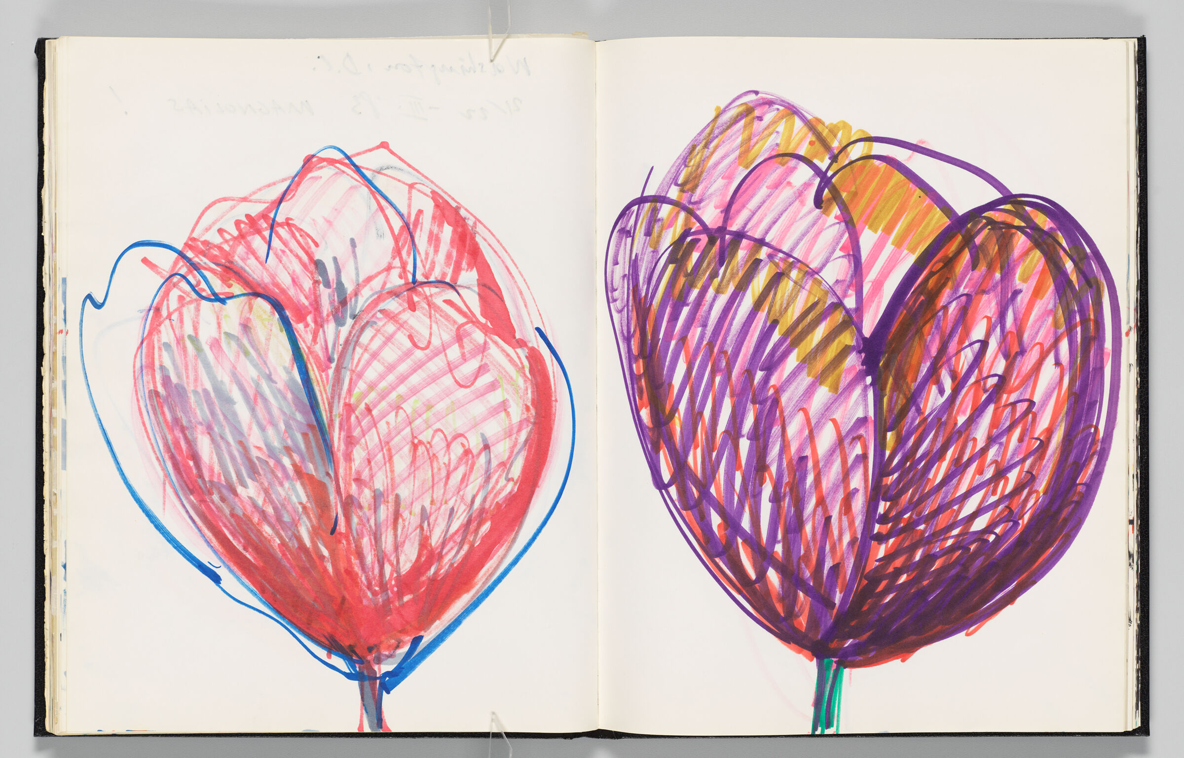 Untitled (Bleed-Through Of Previous Page, Left Page); Untitled (Magnolia, Right Page)