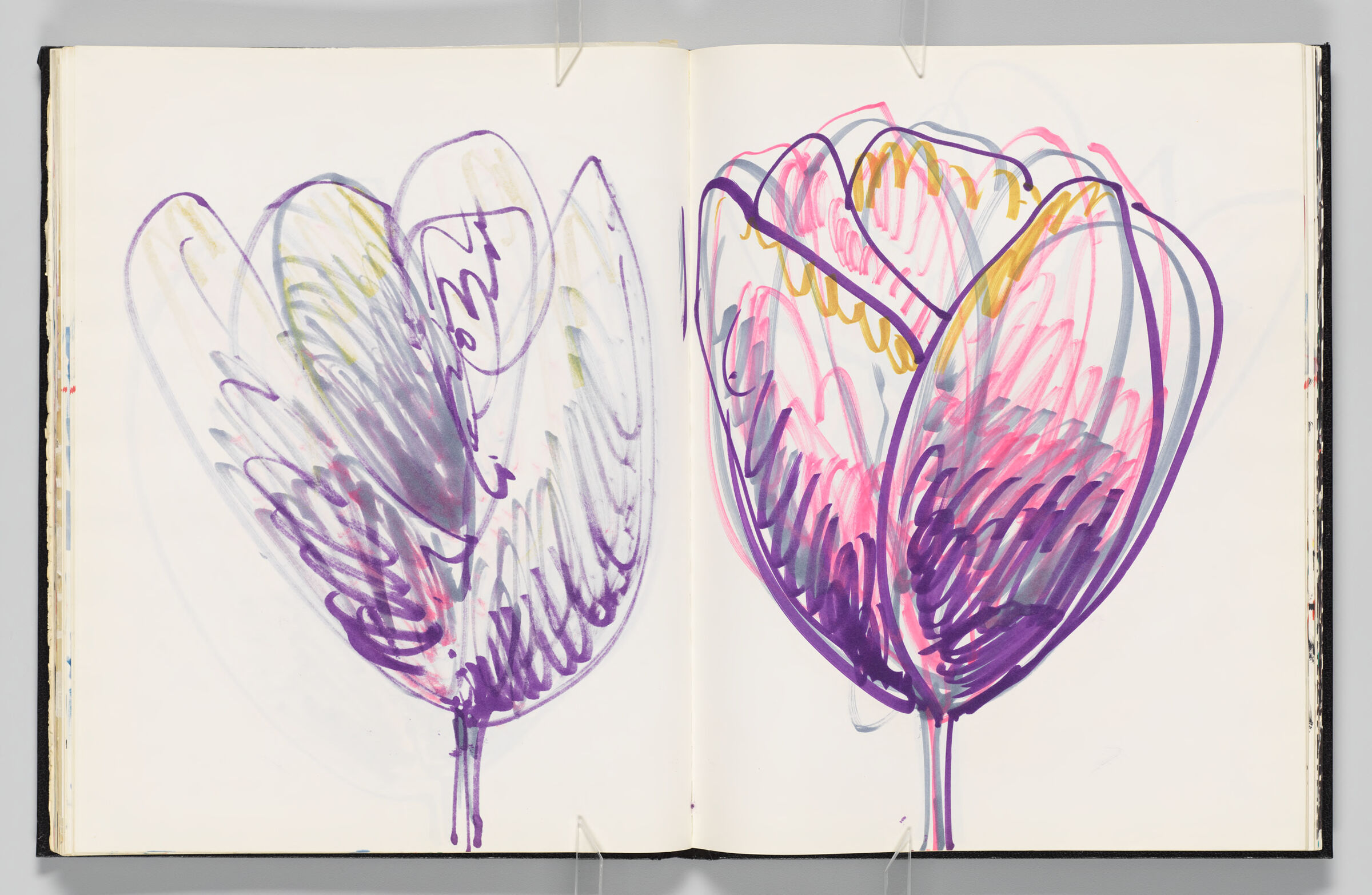 Untitled (Bleed-Through Of Previous Page, Left Page); Untitled (Magnolia, Right Page)
