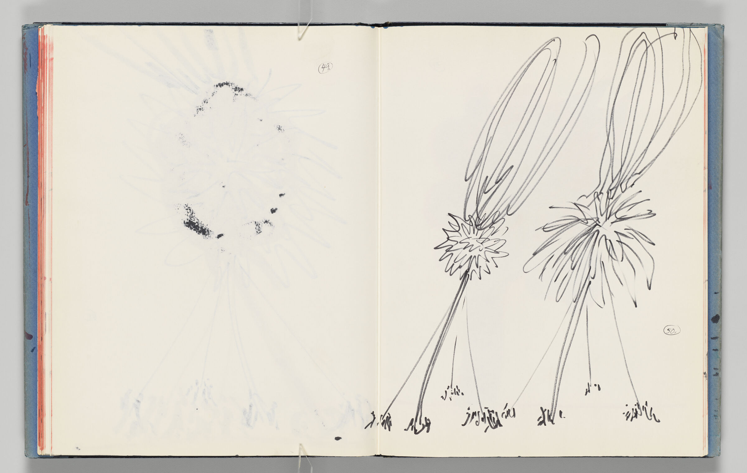 Untitled (Bleed-Through Of Previous Page With Page Number, Left Page); Untitled (Designs For 