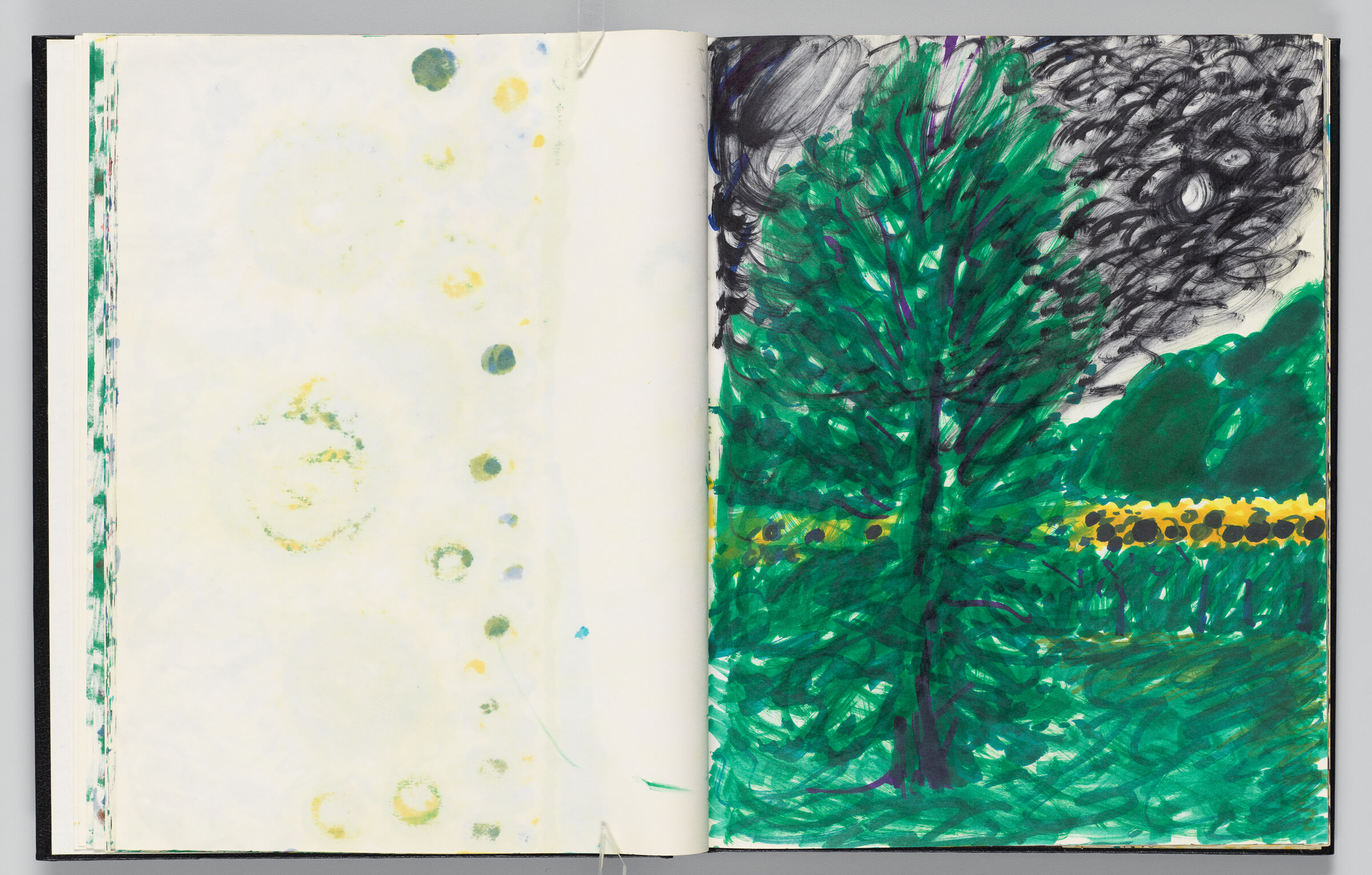 Untitled (Color Transfer, Left Page); Untitled (Landscape, Right Page)
