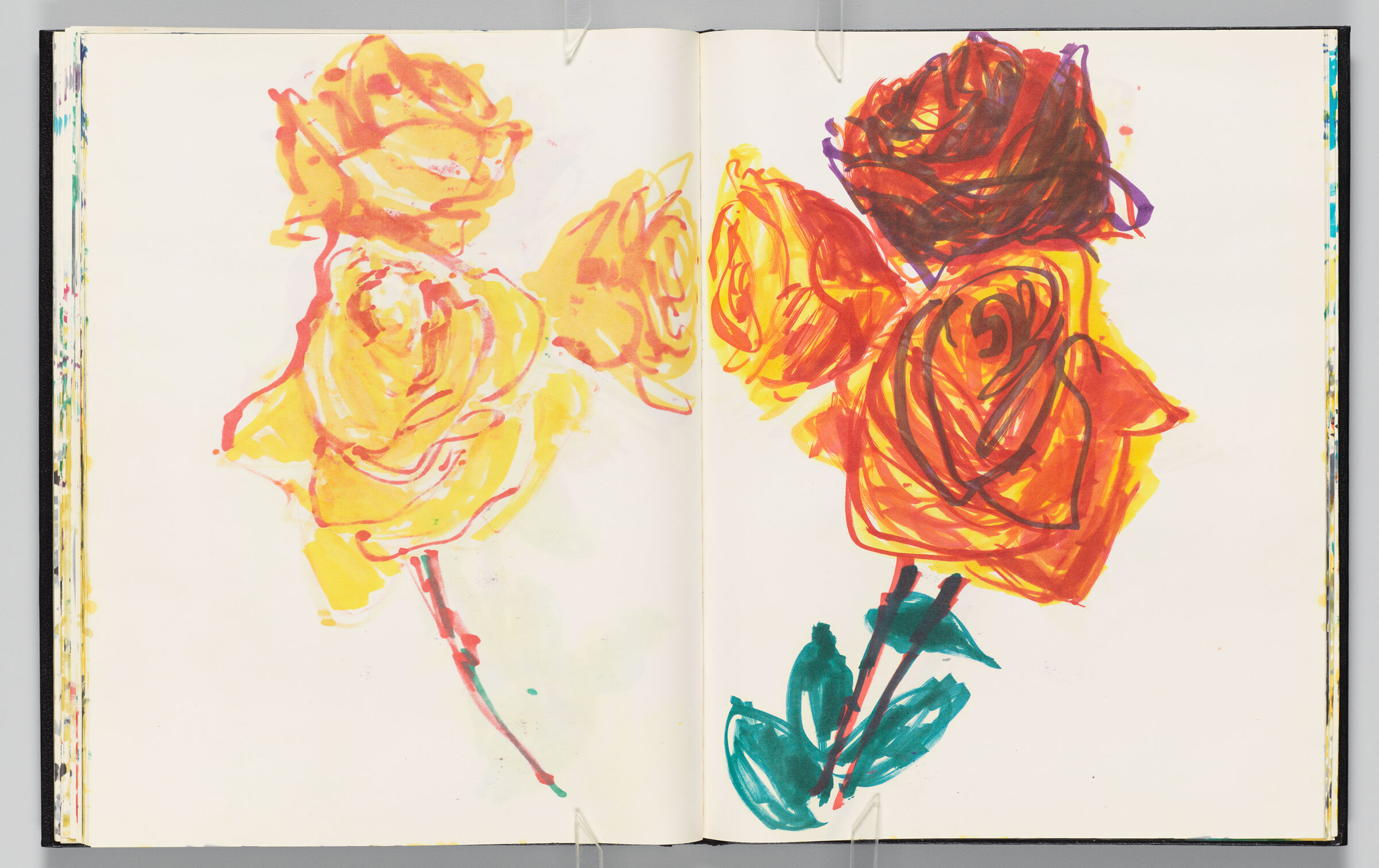 Untitled (Bleed-Through Of Previous Page, Left Page); Untitled (Flowers, Right Page)