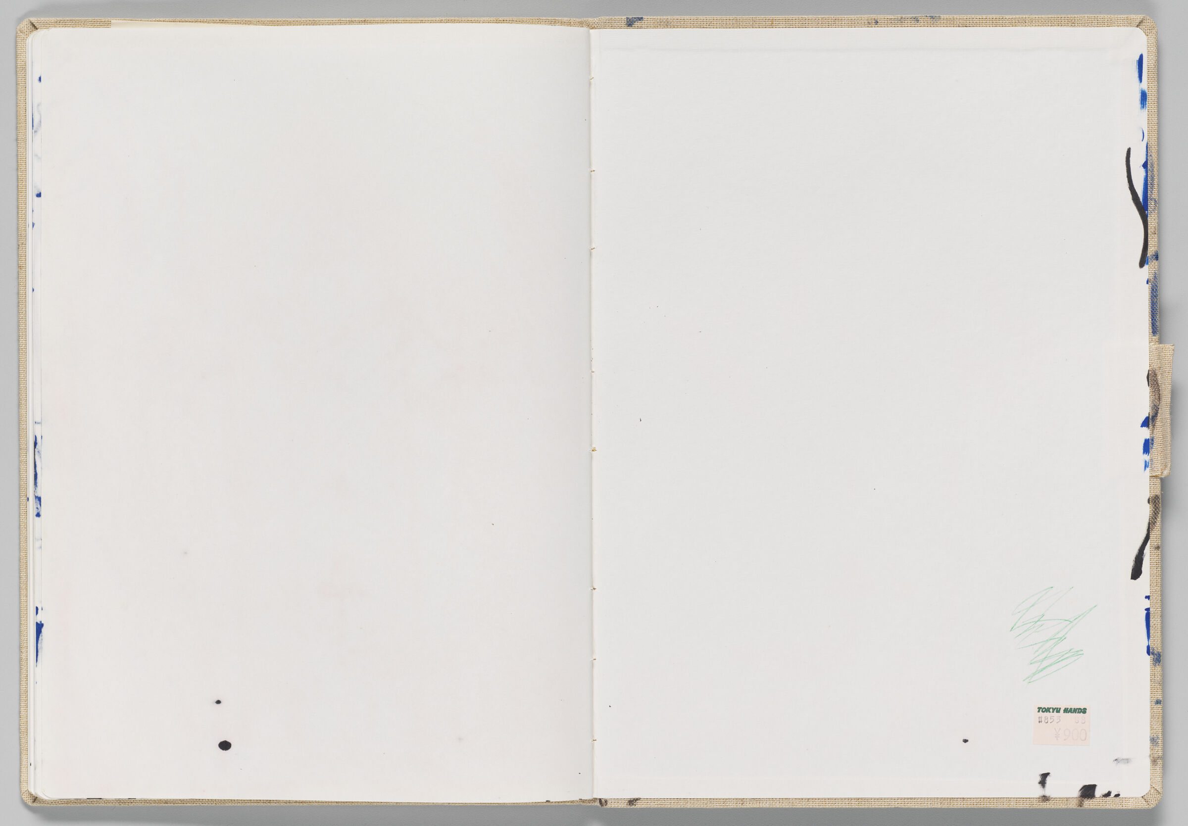 Untitled (Blank With Stray Marks, Left Page); Untitled (Blank Back Endpaper With Stray Marks, Right Page)