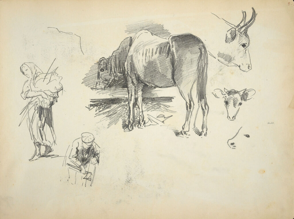 Horse And Cow Sketches; Figure Sketches