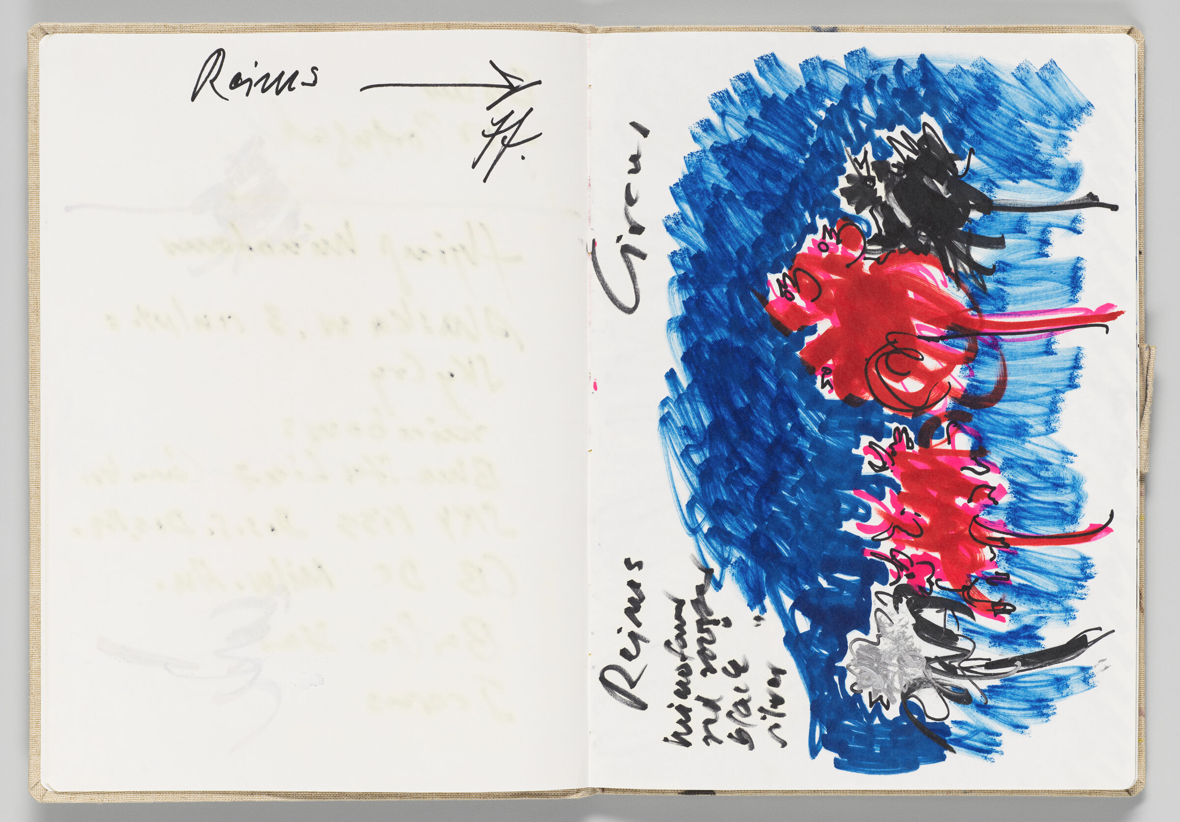 Untitled (Bleed-Through Of Previous Page With Note, Left Page); Untitled (Inflatable Roosters And 