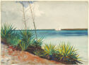 
A watercolor depicts a row of tropical plants overlooking a body of water as a ship floats in the background. 