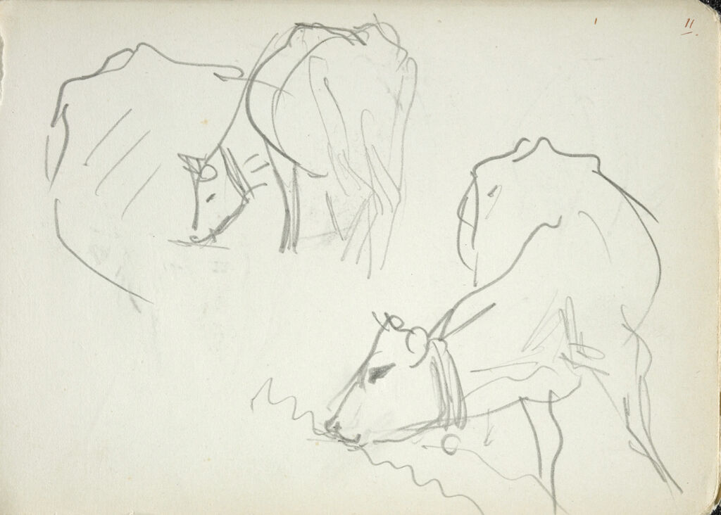 Sketches Of Cows (Recto And Verso)