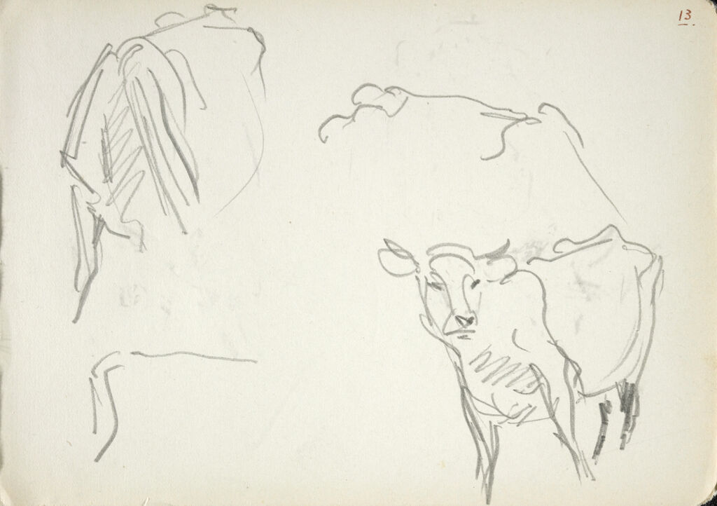 Sketches Of Cows; Verso: Sketch Of A Cow