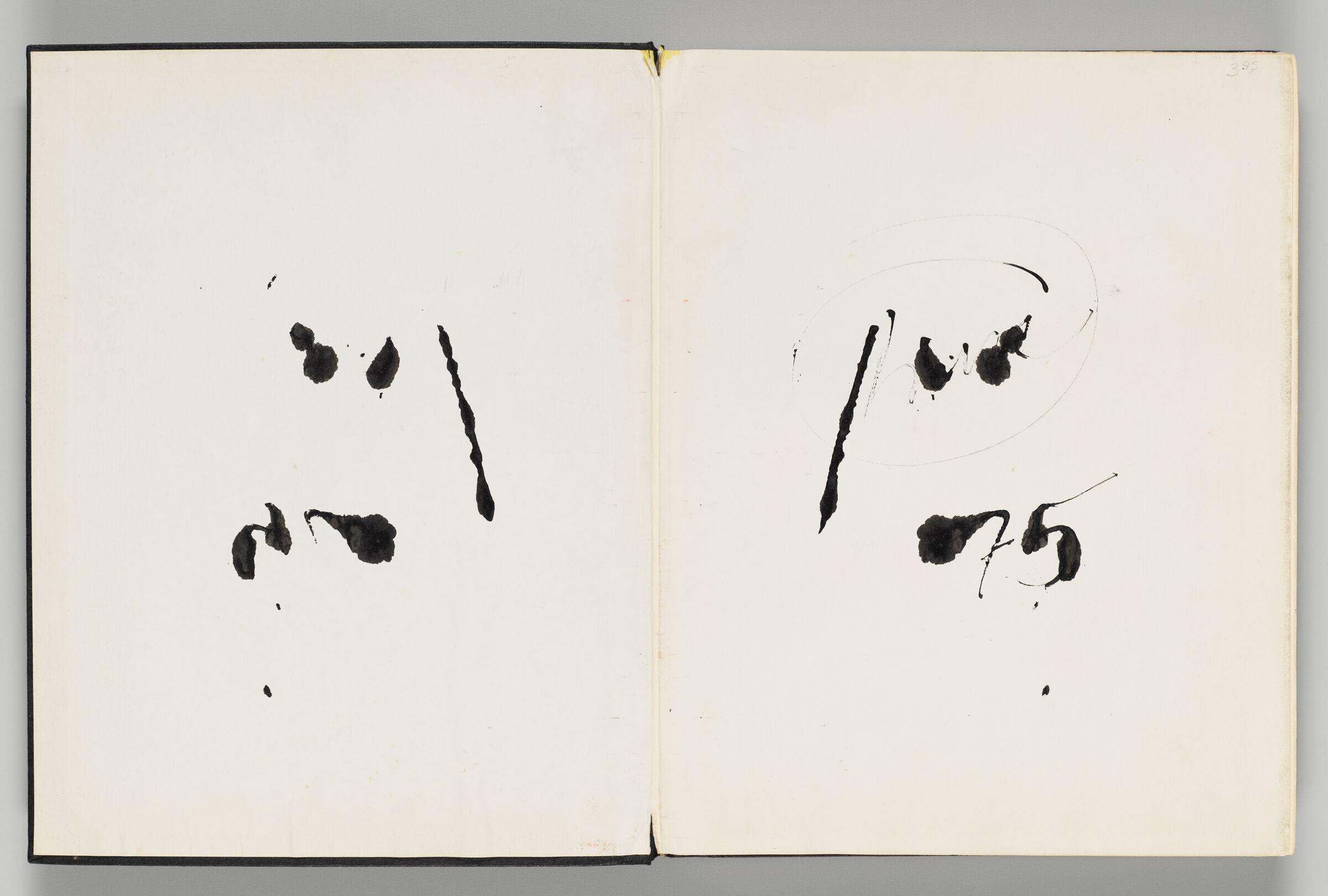 Untitled (Front Endpaper With With Ink Transfer, Left Page); Untitled (Signature, Right Page)