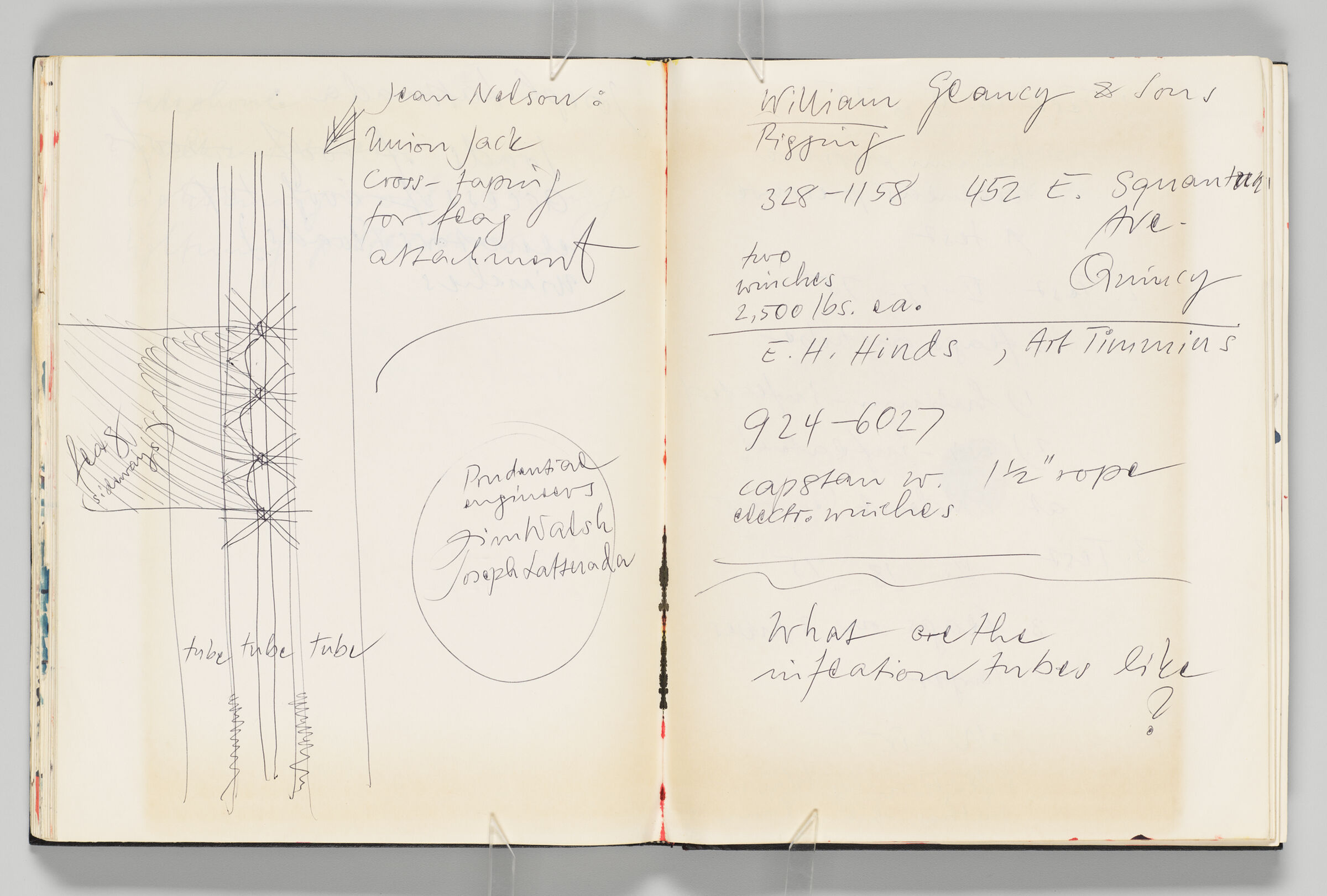 Untitled (Bleed-Through Of Previous Page, Left Page); Untitled (Winged Insect, Right Page)