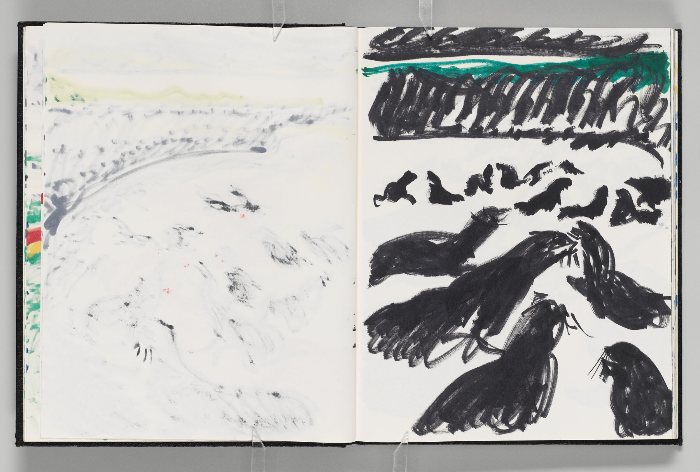 Untitled (Bleed-Through Of Previous Page, Left Page); Untitled (Seals In Landscape, Right Page)