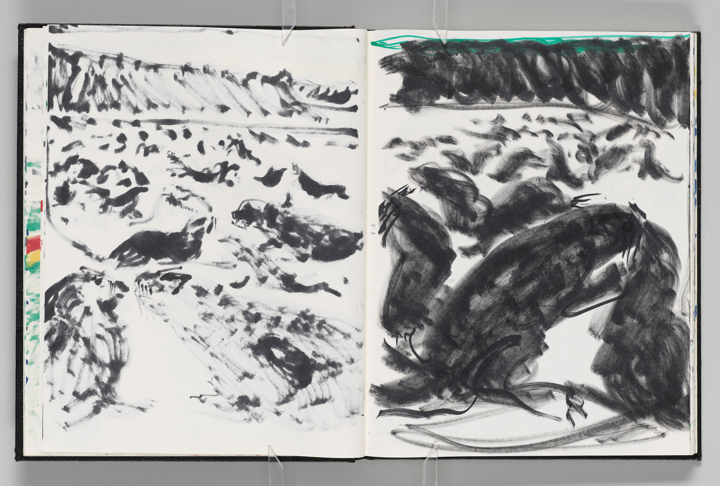 Untitled (Bleed-Through Of Previous Page, Left Page); Untitled (Seals In Landscape, Right Page)