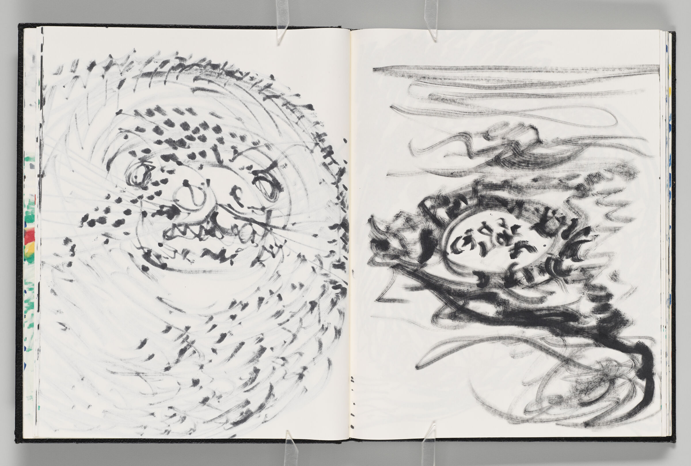 Untitled (Bleed-Through Of Previous Page, Left Page); Untitled (Seals In The Distance, Right Page)