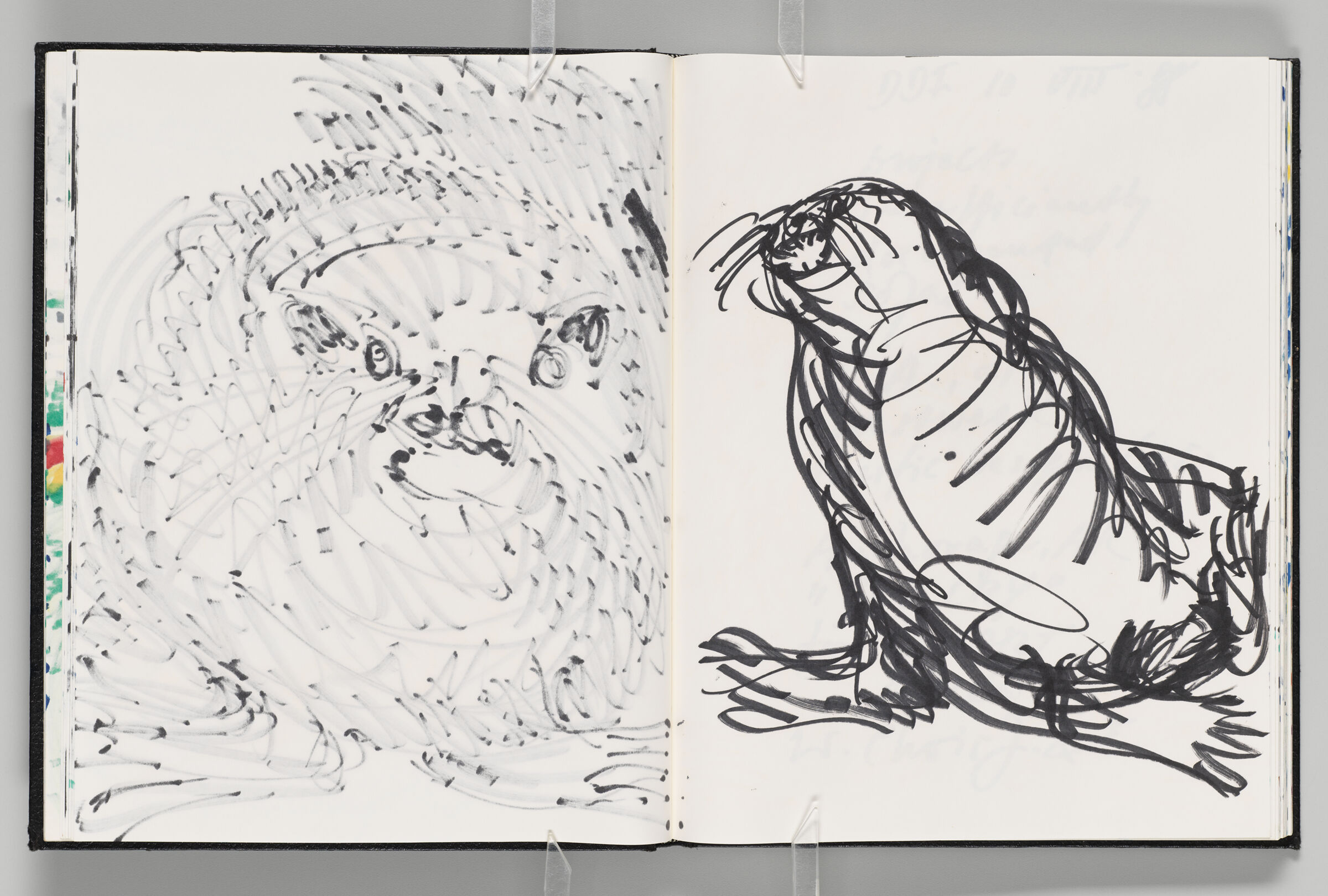 Untitled (Bleed-Through Of Previous Page, Left Page); Untitled (Seal, Right Page)