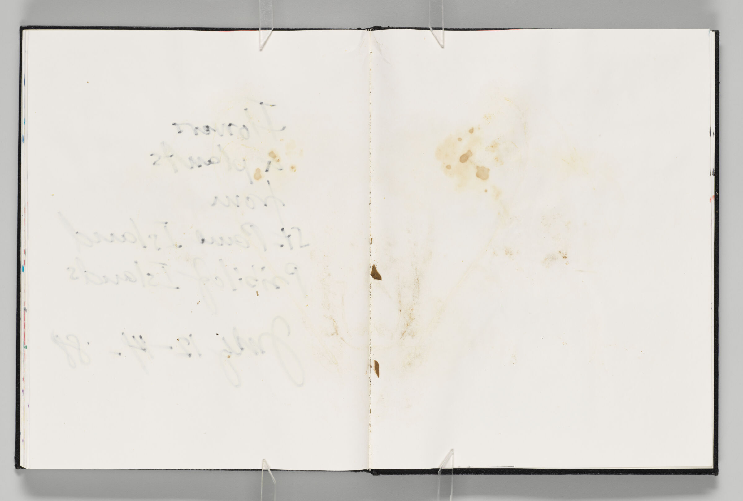 Untitled (Blank With Flower Stains And Traces, Left Page); Untitled (Blank With Flower Stains And Traces, Right Page)