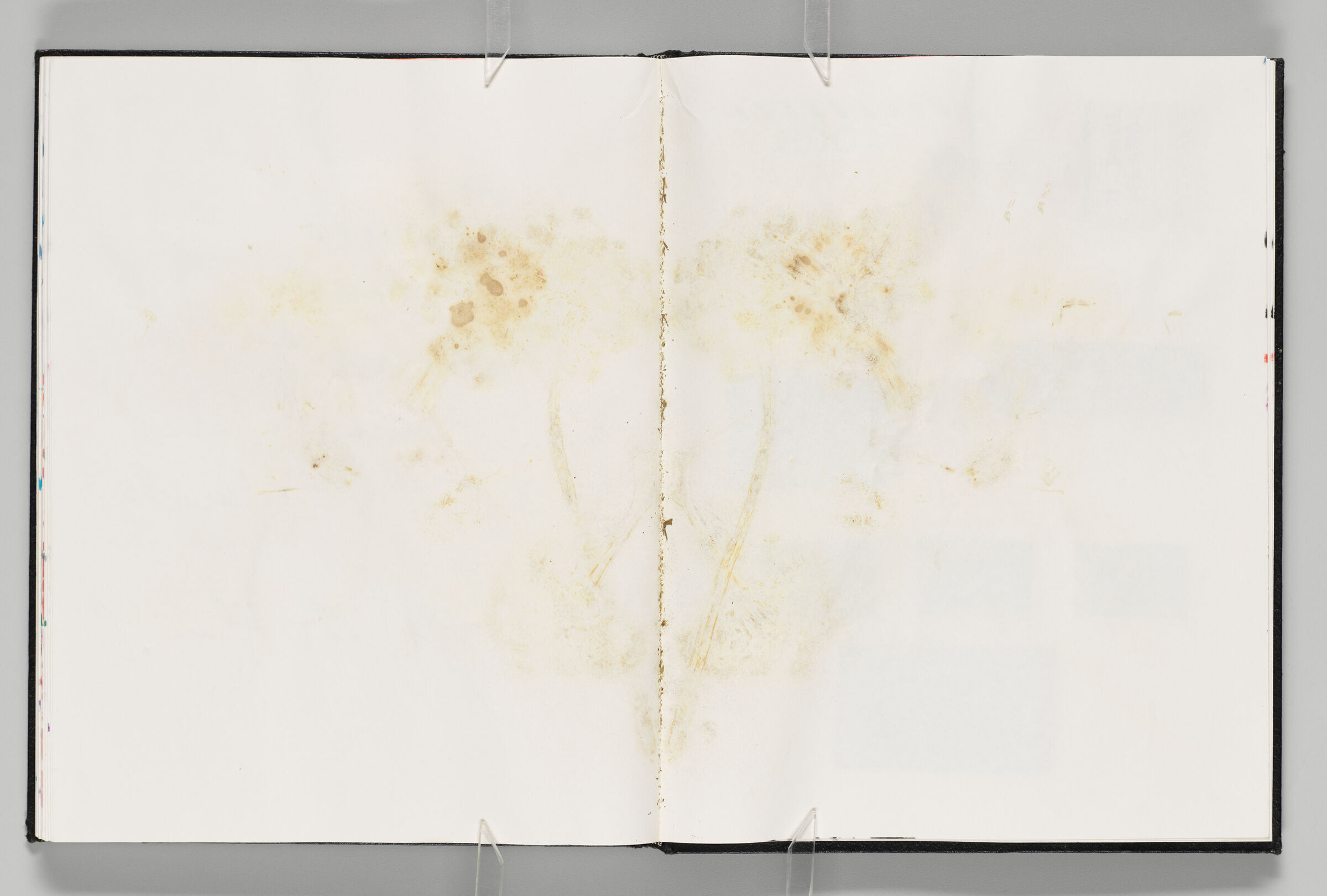 Untitled (Blank With Flower Stains, Left Page); Untitled (Blank With Flower Stains, Right Page)