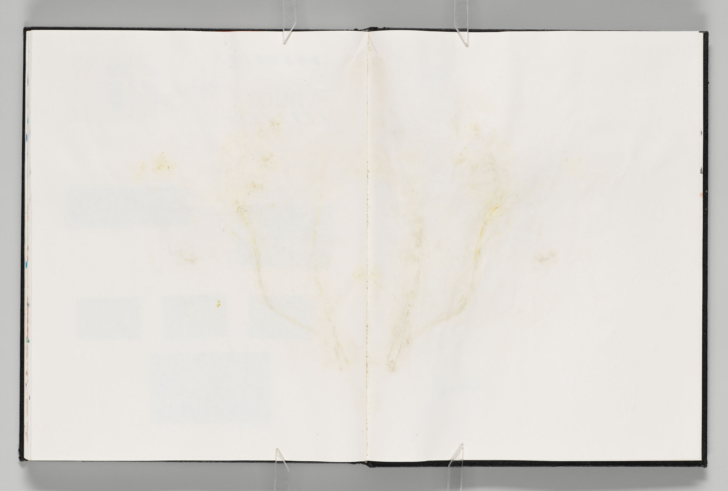 Untitled (Blank With Flower Stains, Left Page); Untitled (Blank With Flower Stains, Right Page)
