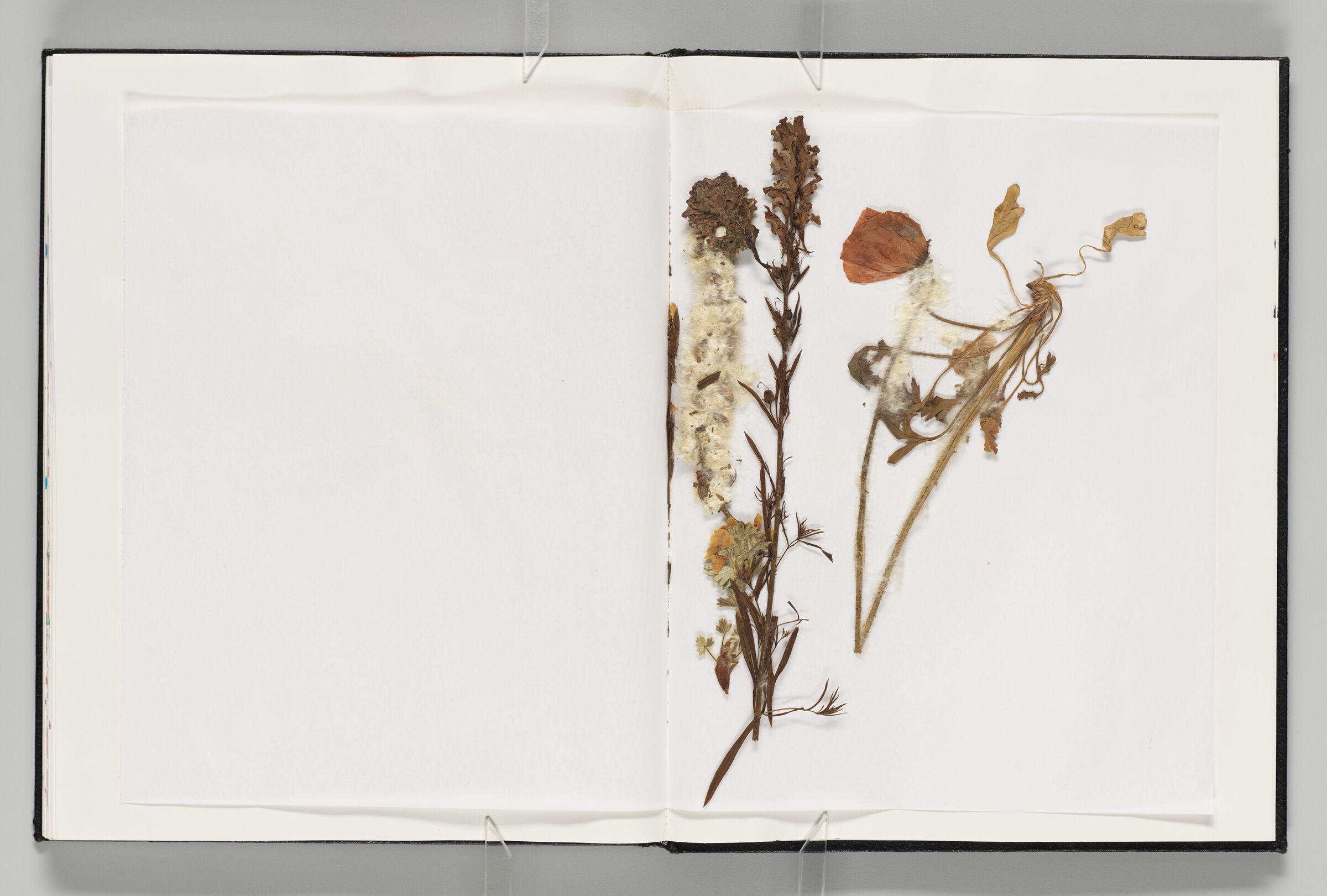 Untitled (Blank, Left Page); Untitled (Blank Back Endpaper, Right Page)