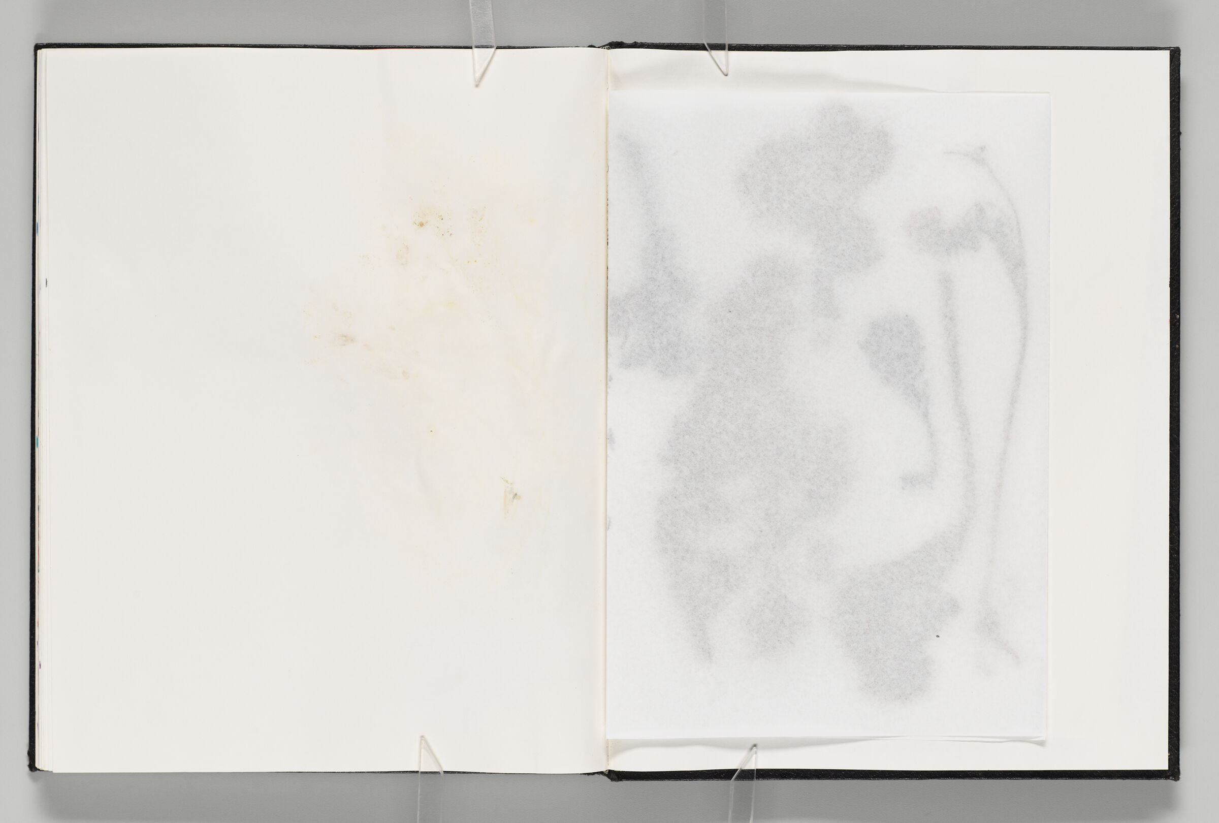Untitled (Bleed-Through Of Flower Stains, Left Page); Untitled (Faint Flower Stains, Right Page)