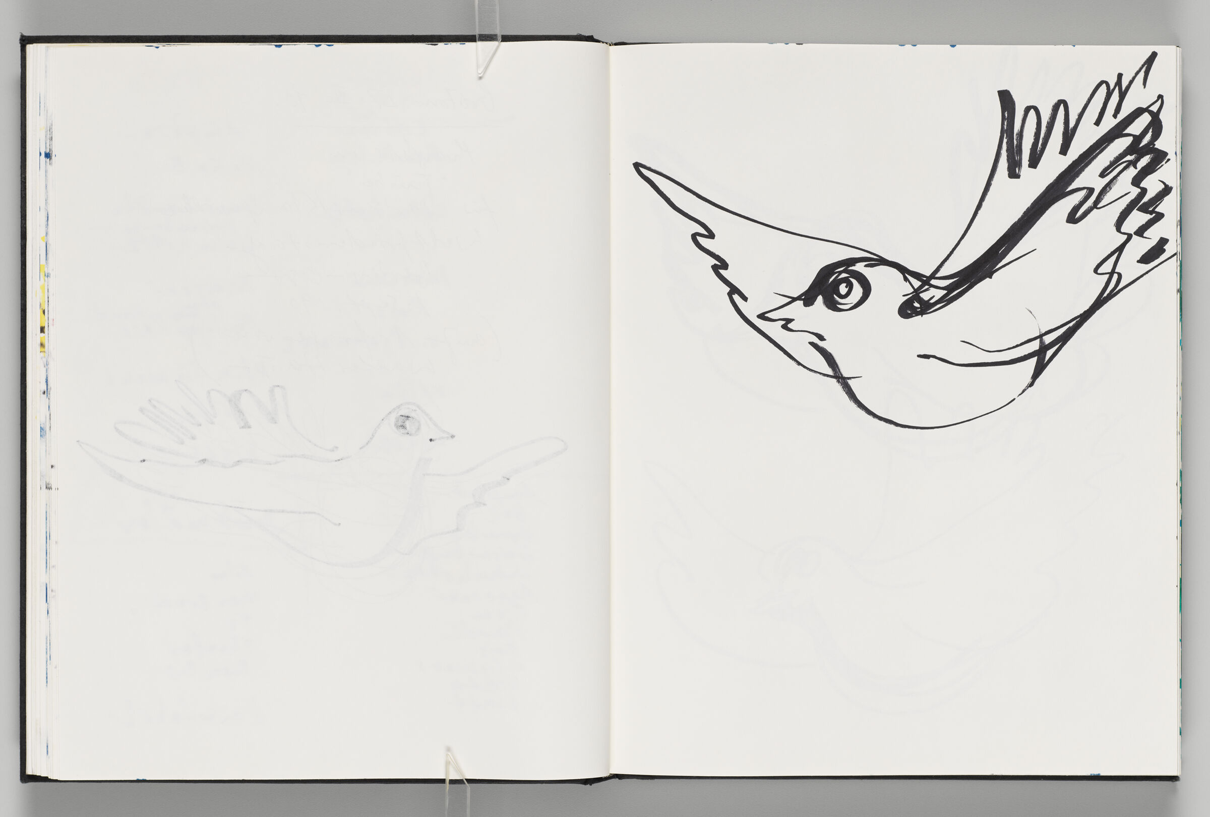 Untitled (Bleed-Through Of Previous Page, Left Page); Untitled (Dove, Right Page)
