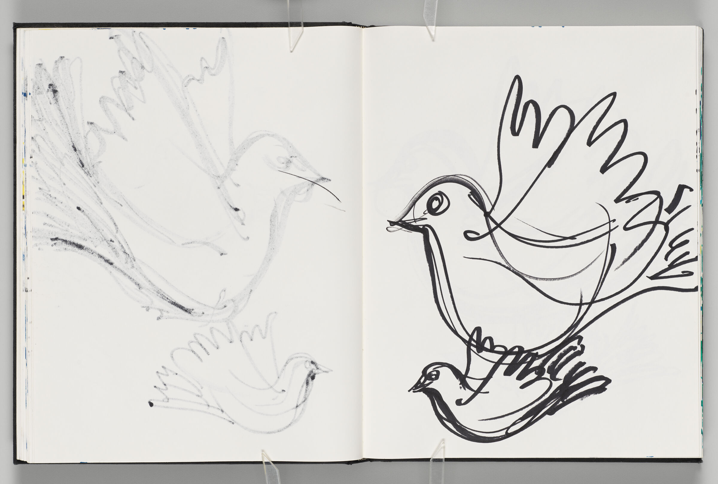 Untitled (Bleed-Through Of Previous Page, Left Page); Untitled (Doves, Right Page)
