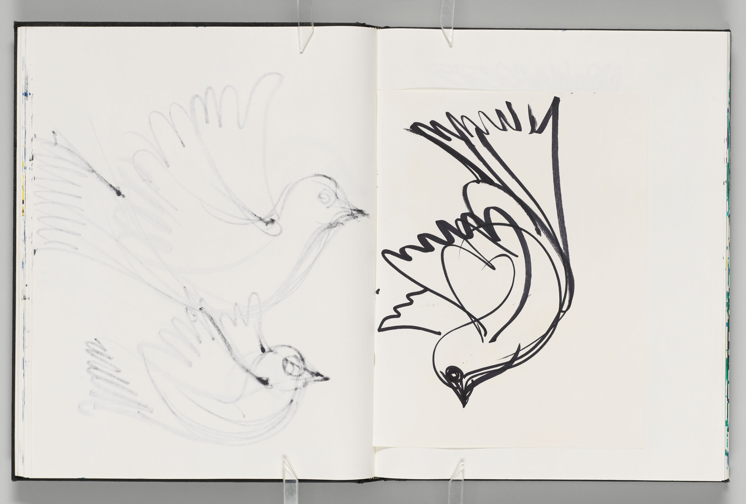 Untitled (Bleed-Through Of Previous Page, Left Page); Untitled (Dove On Adhered Sheet, Right Page)
