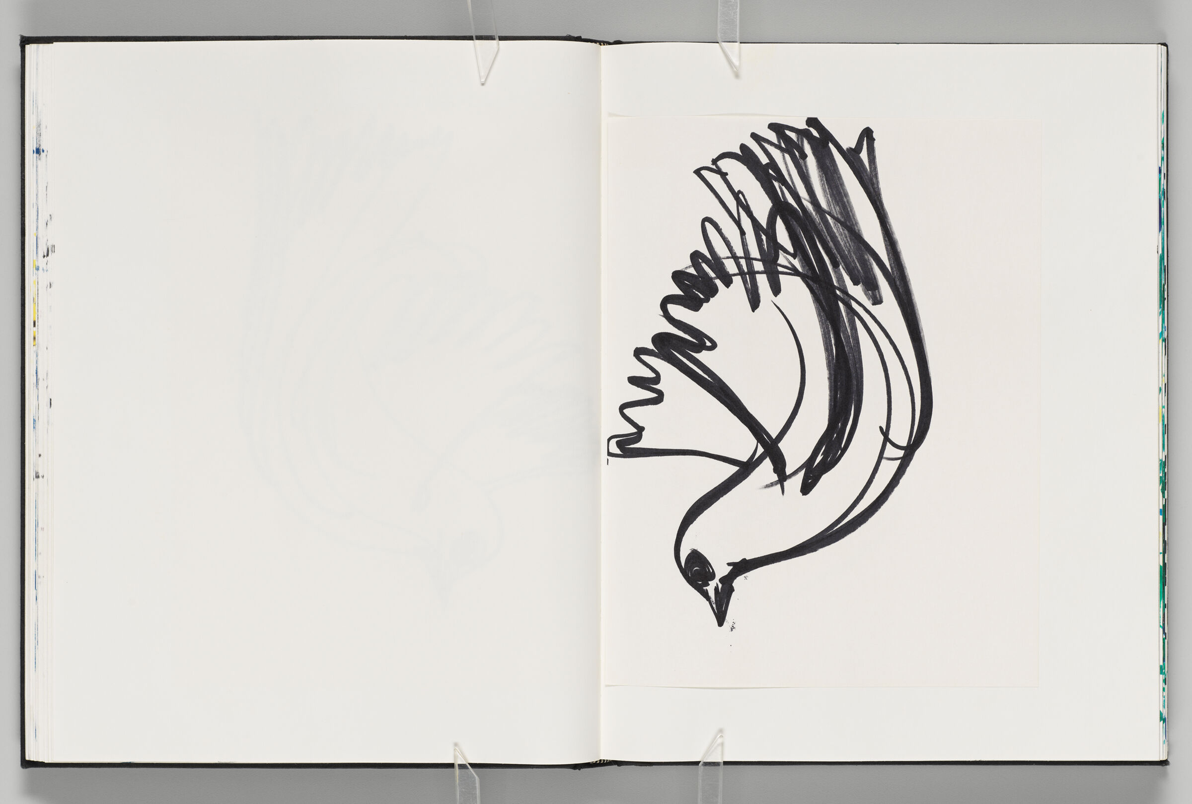 Untitled (Blank, Left Page); Untitled (Dove On Adhered Sheet, Right Page)