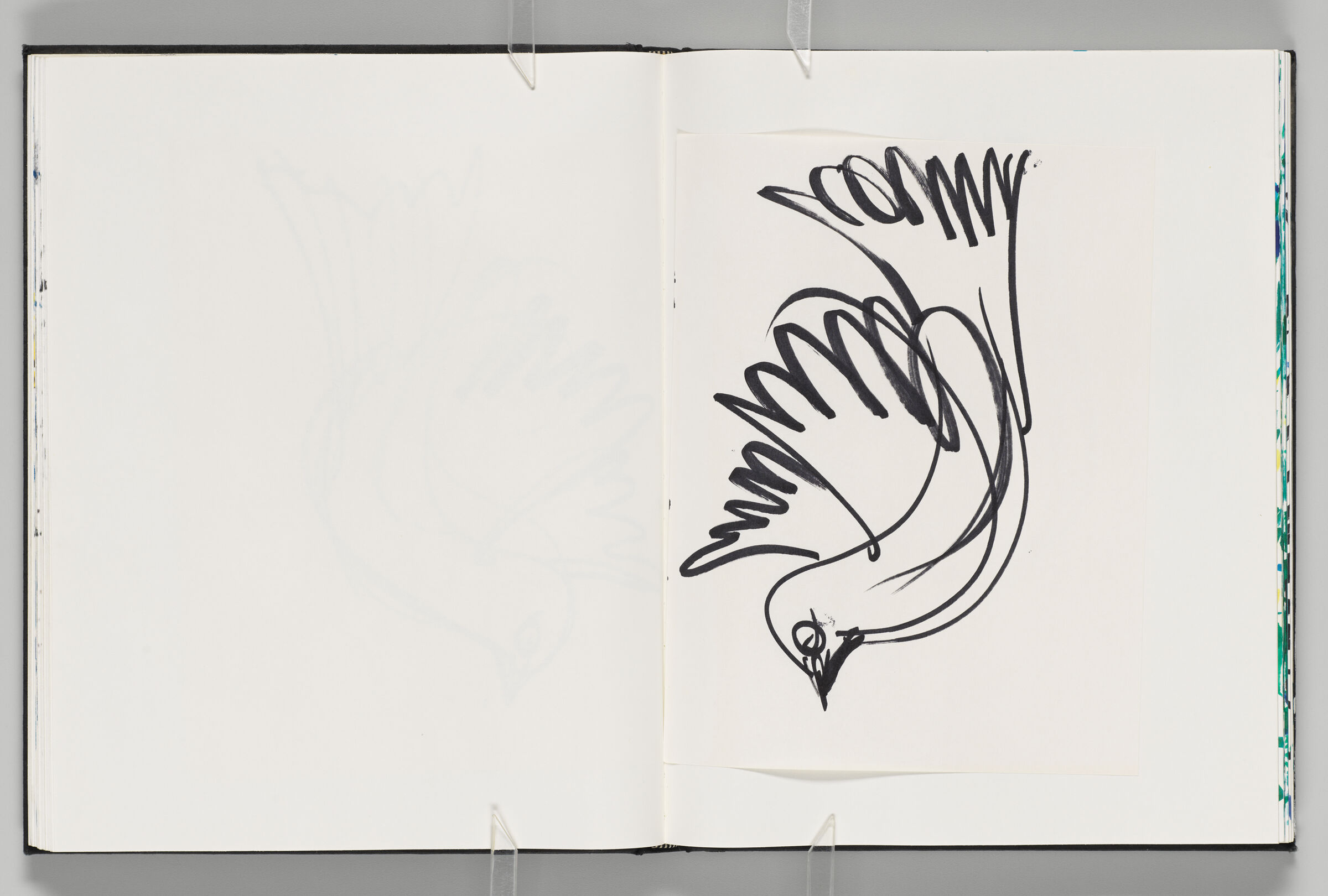 Untitled (Blank, Left Page); Untitled (Dove On Adhered Sheet, Right Page)