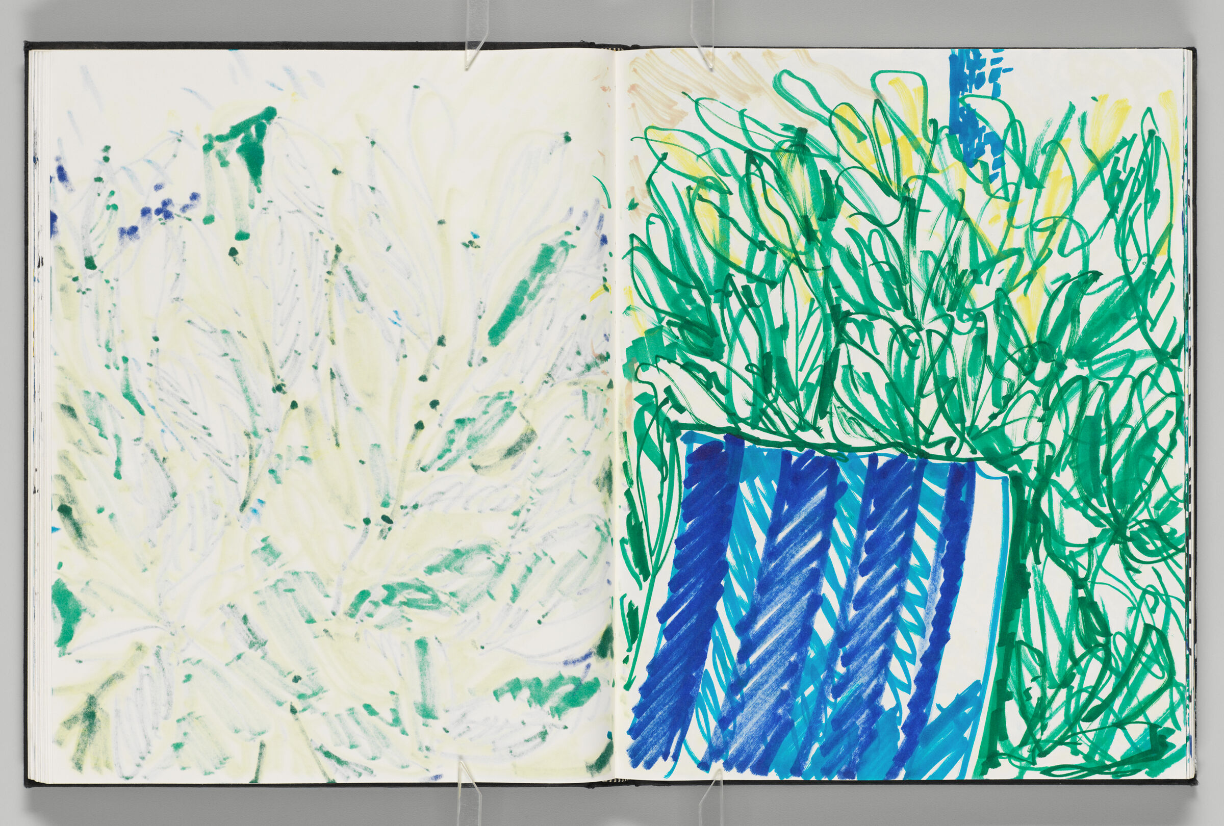 Untitled (Bleed-Through Of Previous Page, Left Page); Untitled (Foliage With Patterned Obejct, Right Page)
