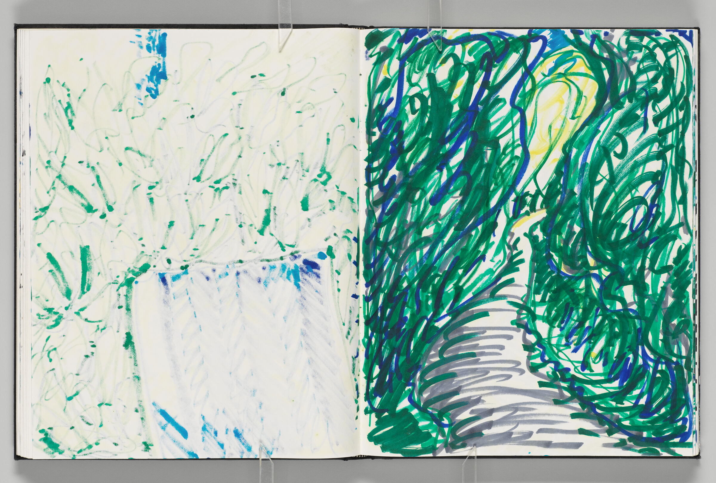 Untitled (Bleed-Through Of Previous Page, Left Page); Untitled (Path In Landscape, Right Page)
