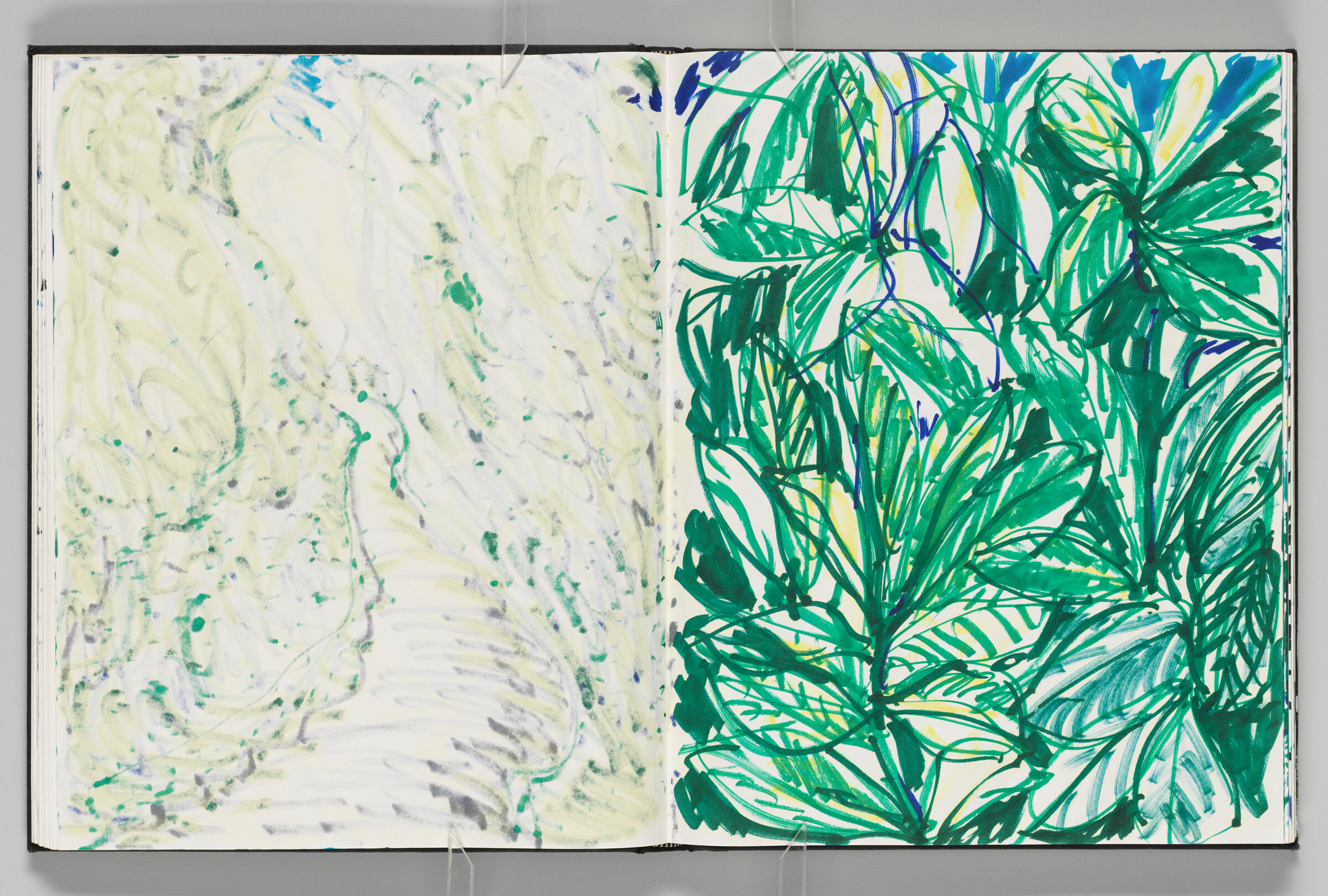 Untitled (Bleed-Through Of Previous Page, Left Page); Untitled (Foliage, Right Page)
