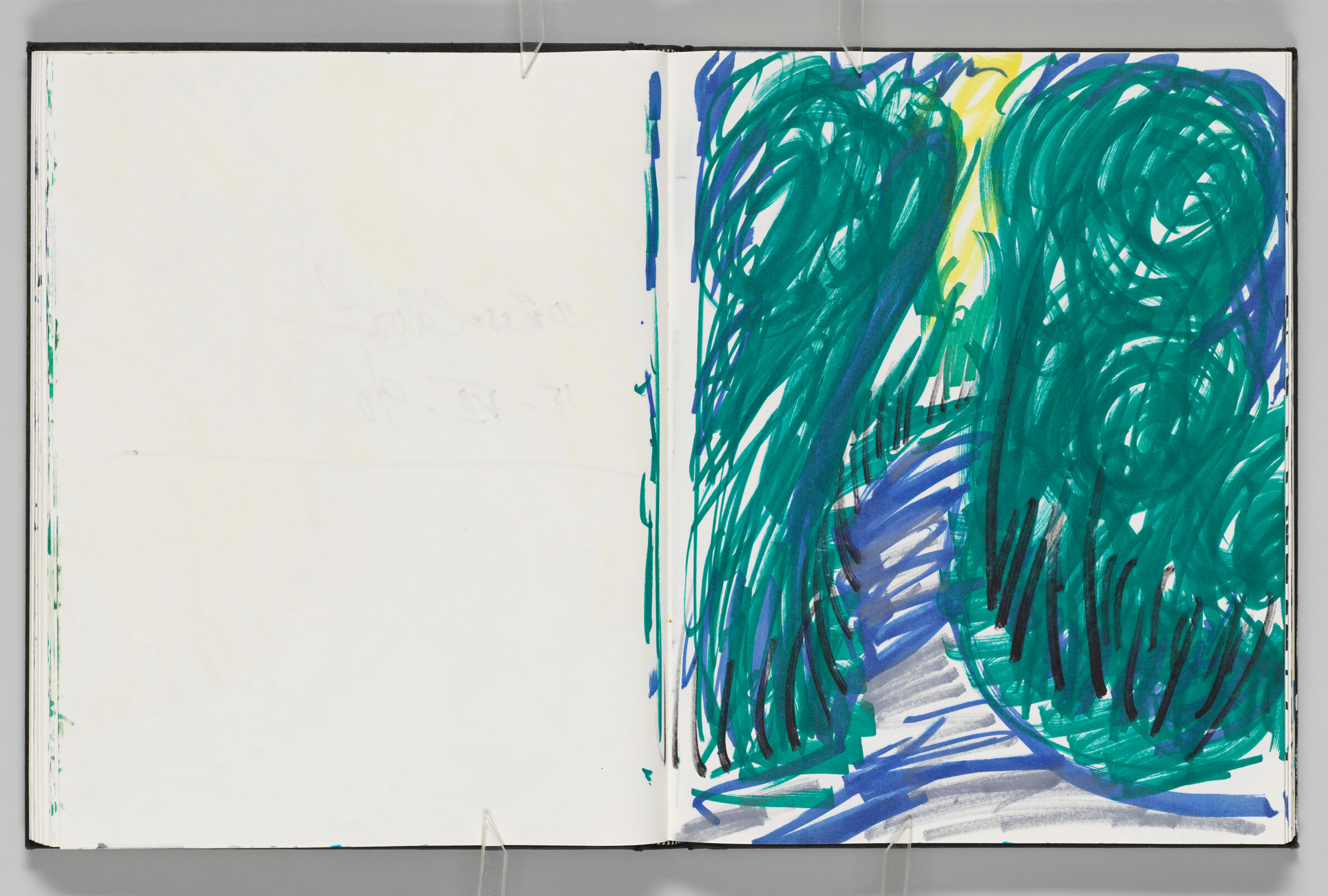 Untitled (Bleed-Through Of Previous Page, Left Page); Untitled (Path In Landscape, Right Page)

