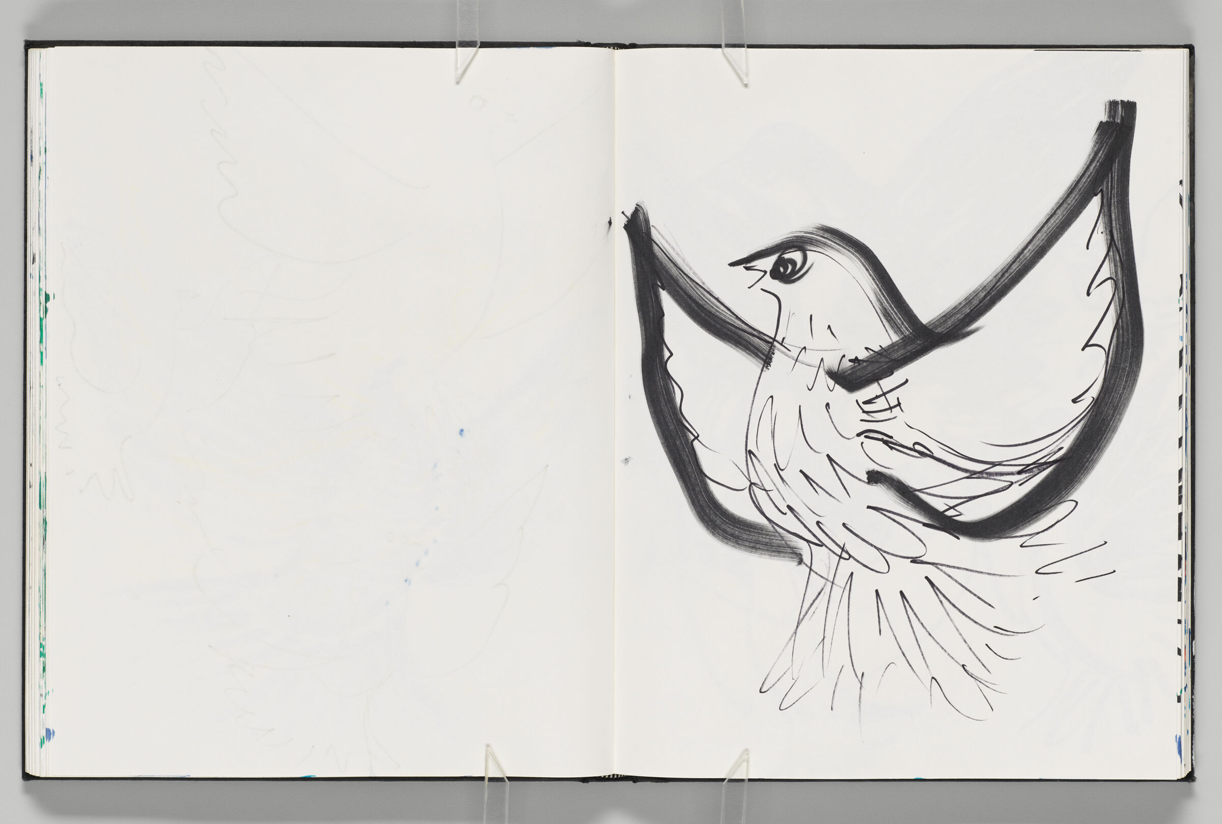 Untitled (Bleed-Through Of Previous Page, Left Page); Untitled (Dove, Right Page)