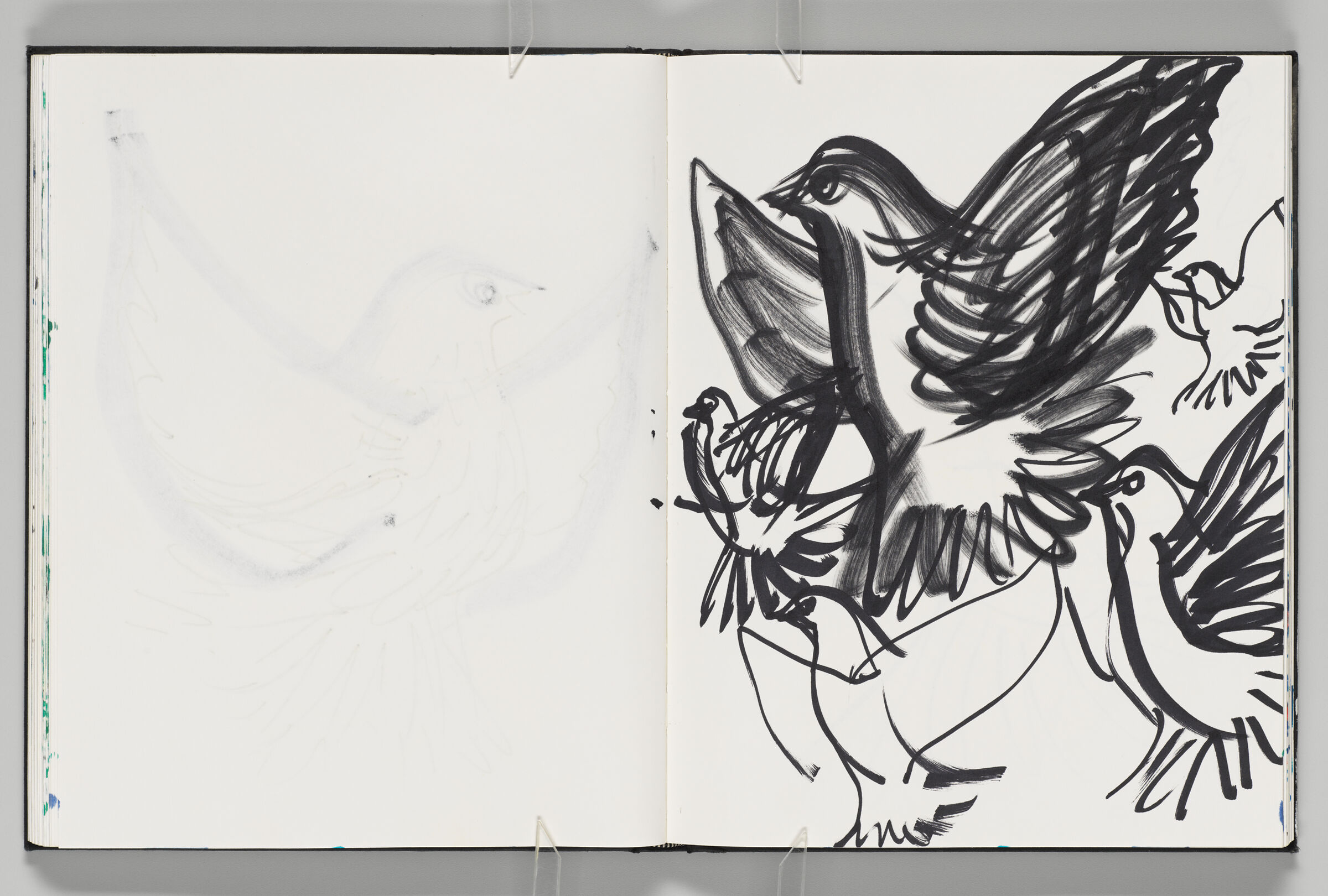 Untitled (Bleed-Through Of Previous Page, Left Page); Untitled (Doves, Right Page)