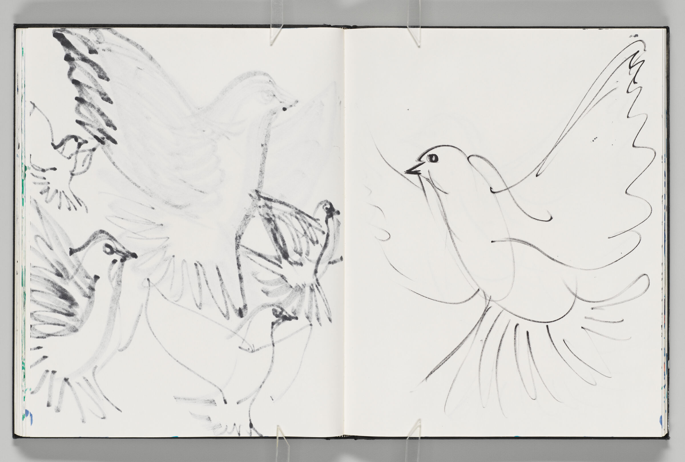 Untitled (Bleed-Through Of Previous Page, Left Page); Untitled (Dove, Right Page)