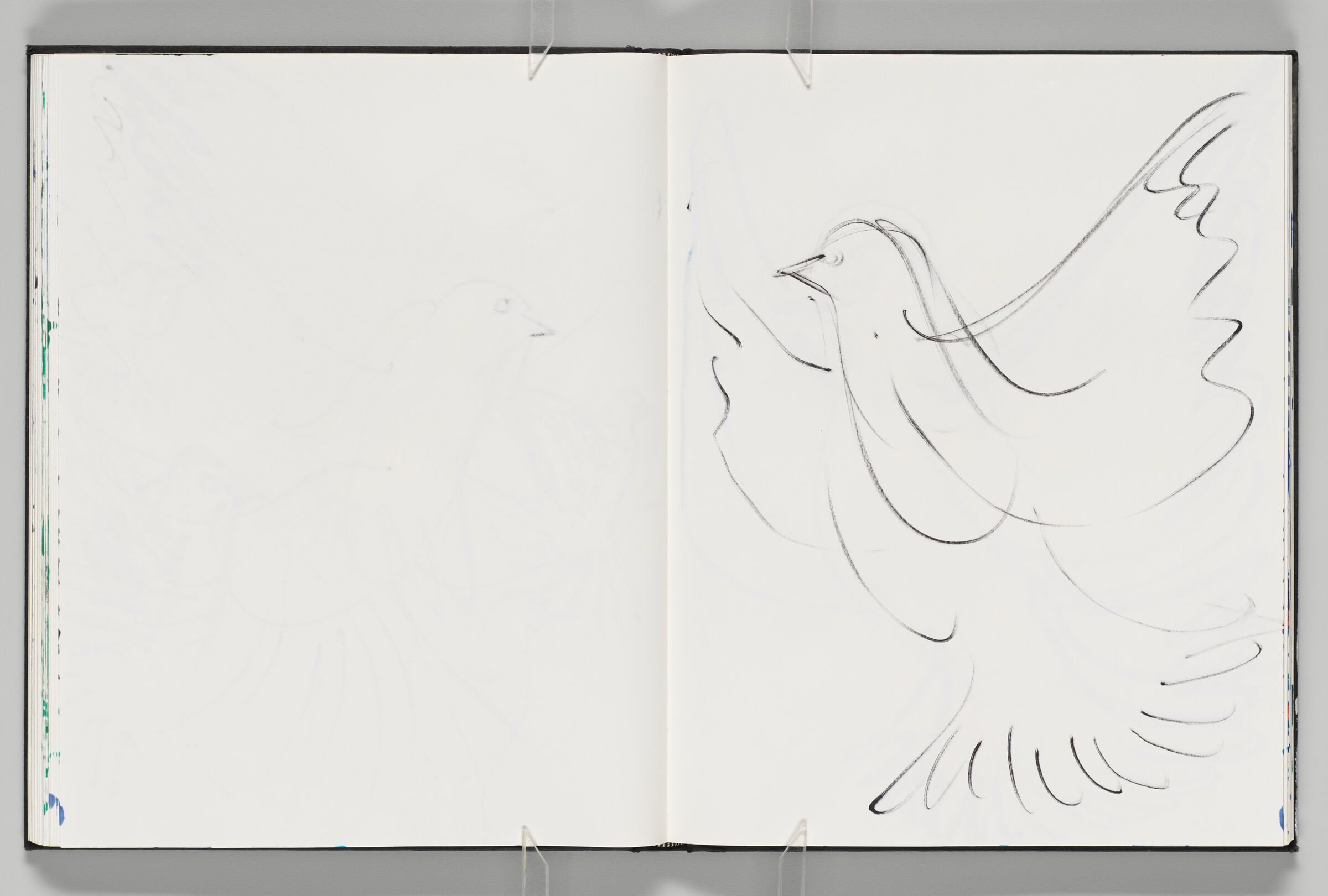 Untitled (Faint Bleed-Through Of Previous Page, Left Page); Untitled (Dove, Right Page)