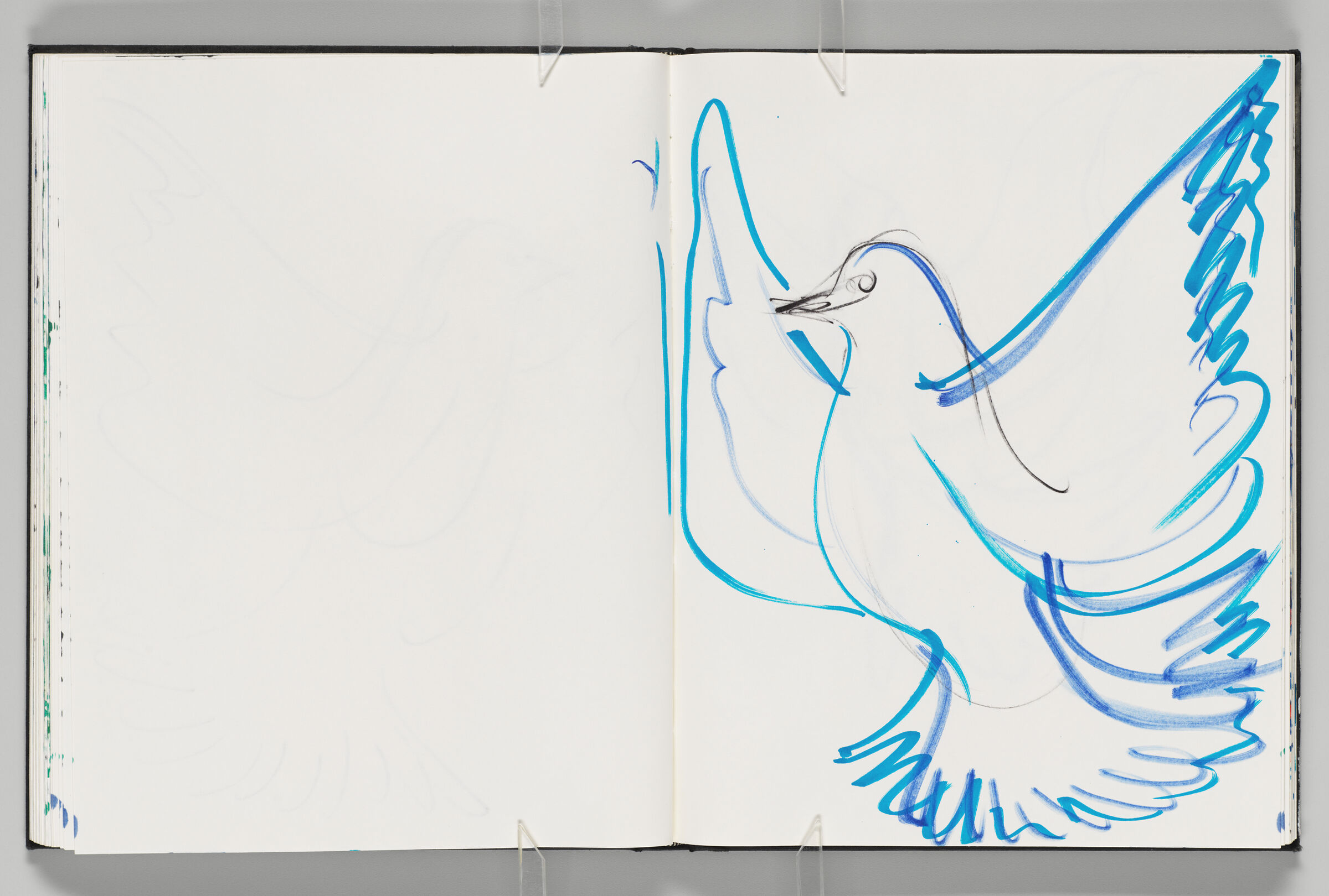 Untitled (Blank, Left Page); Untitled (Dove, Right Page)