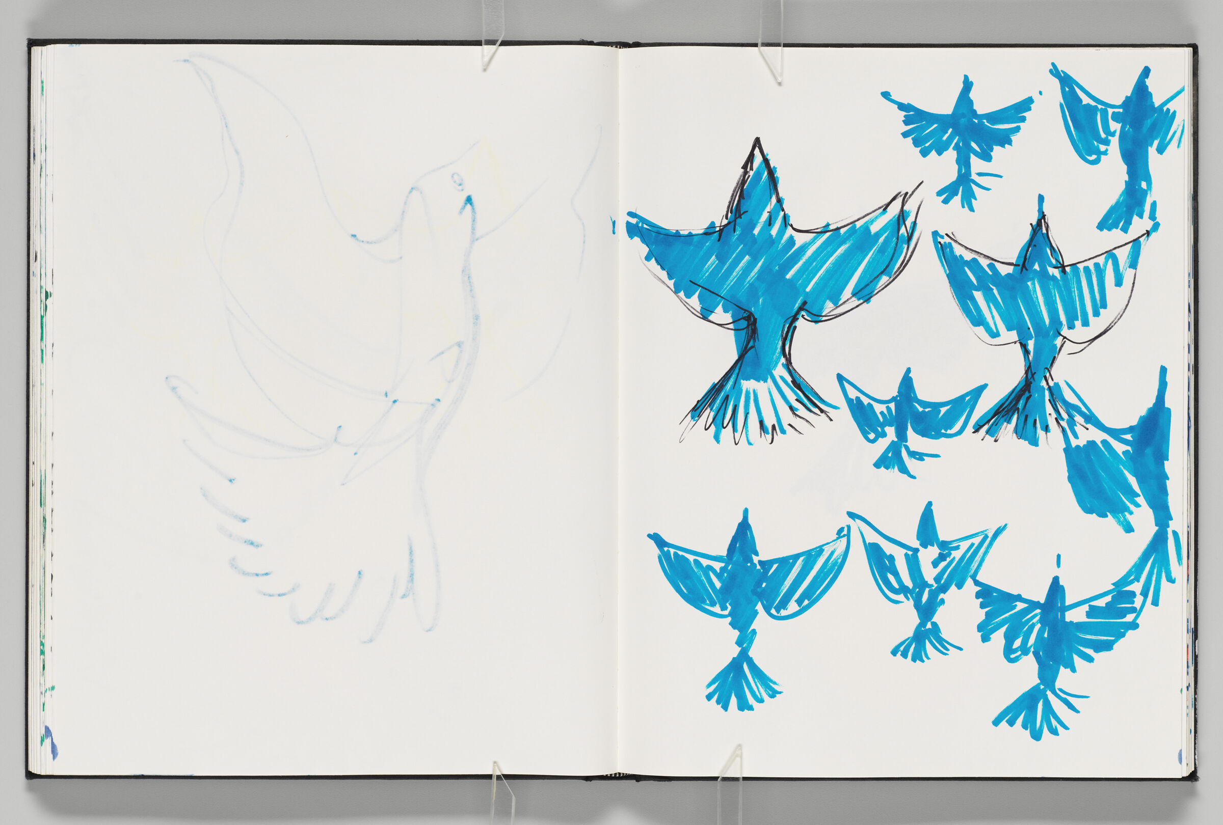 Untitled (Bleed-Through Of Previous Page, Left Page); Untitled (Doves, Right Page)
