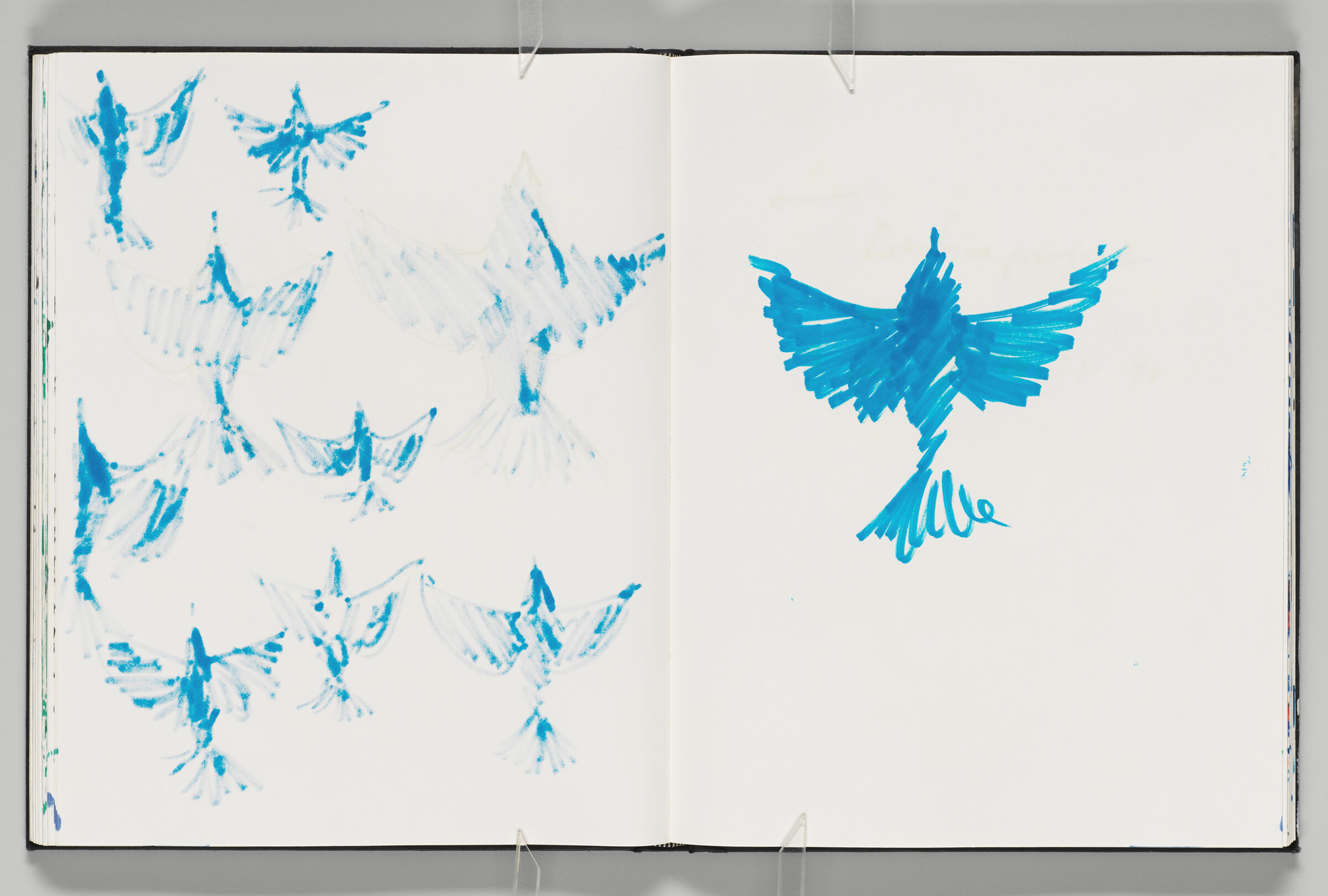 Untitled (Bleed-Through Of Previous Page, Left Page); Untitled (Dove, Right Page)
