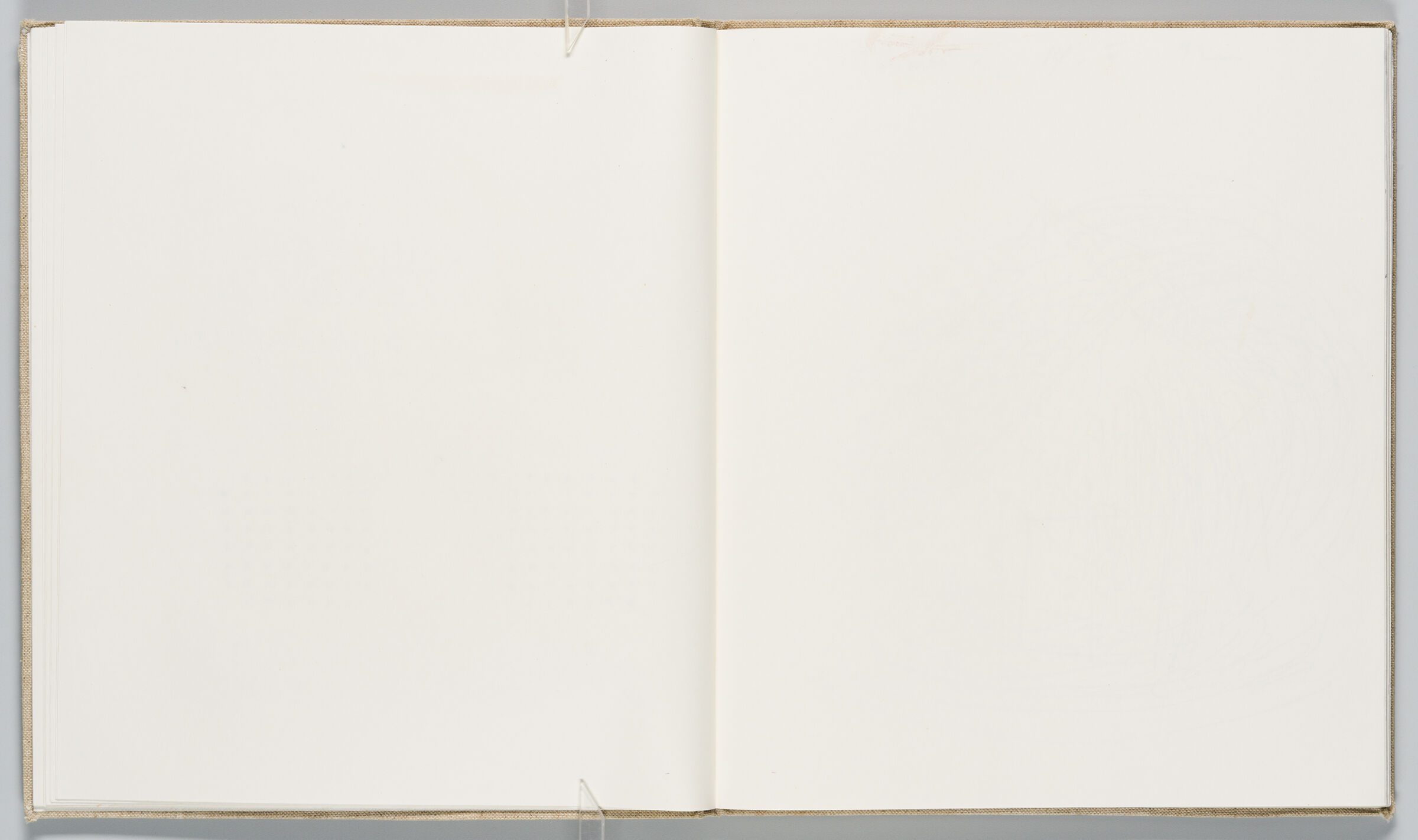 Untitled (Blank, Left Page); Untitled (Blank With Adhesive Traces, Right Page)