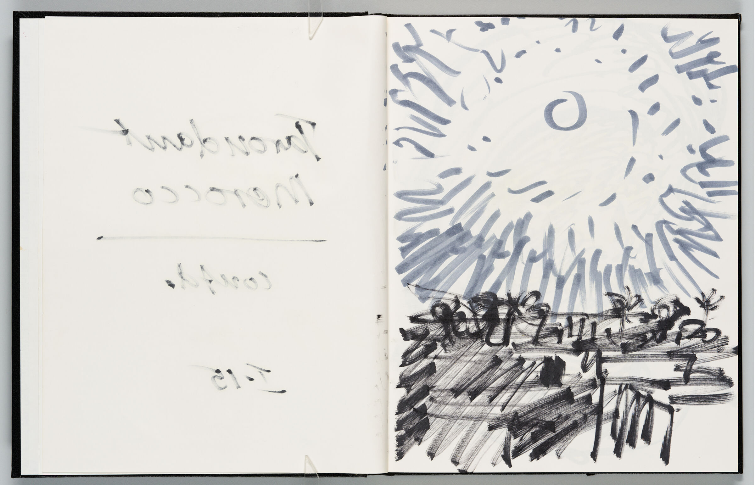 Untitled (Bleed-Through Of Previous Page, Left Page); Untitled (Taroundant Landscape, Right Page)