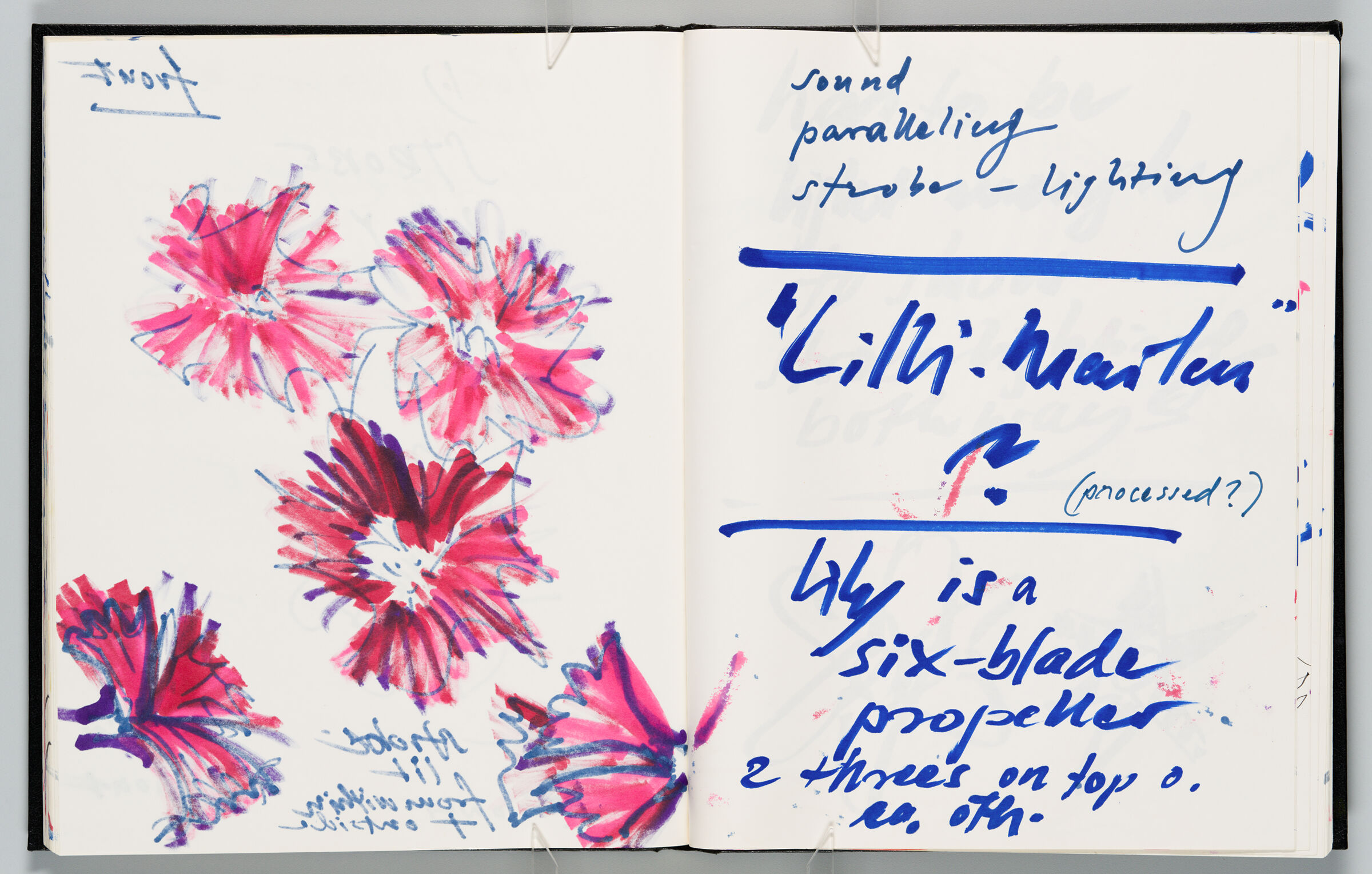 Untitled (Bleed-Through Of Previous Page, Left Page); Untitled (Notes With Color Transfer, Right Page)