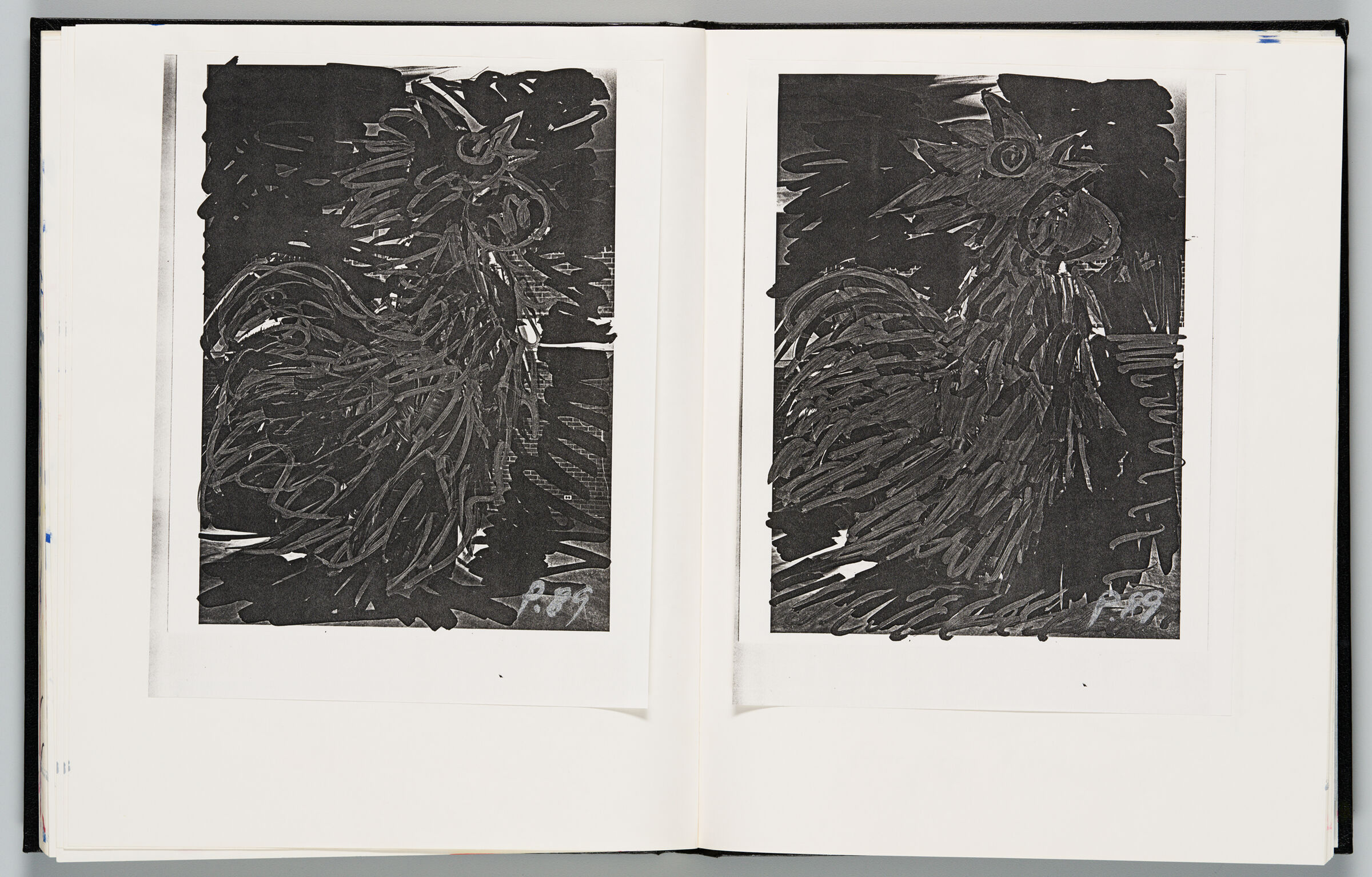 Untitled (Photocopy Of Rooster Sketch, Left Page); Untitled (Photocopy Of Rooster Sketch, Right Page)
