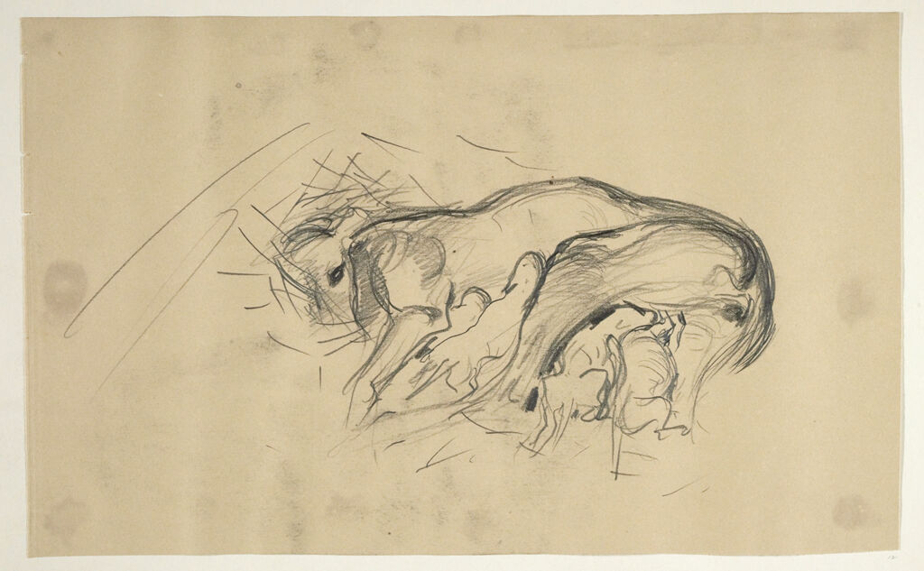 Sketch Of Dog With Puppies