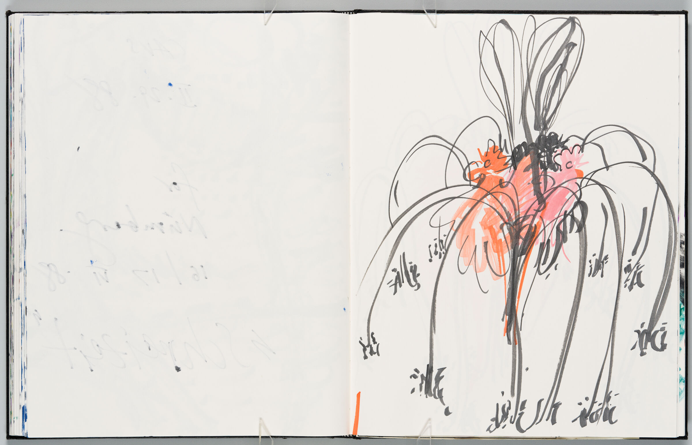 Untitled (Bleed-Through Of Previous Page, Left Page); Untitled (Design For 
