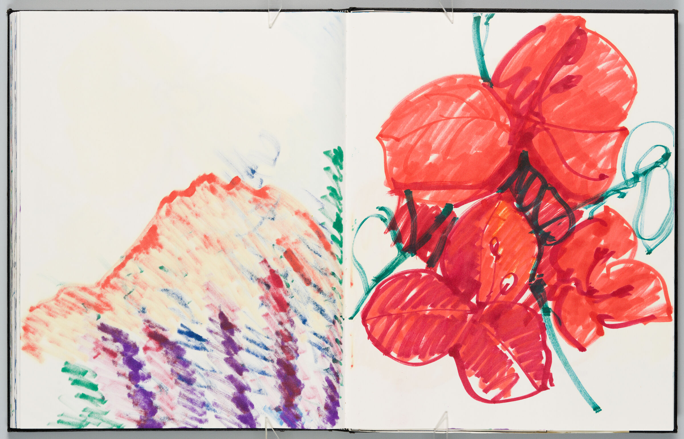 Untitled (Bleed-Through Of Previous Page, Left Page); Untitled (Bougainvilleas, Right Page)