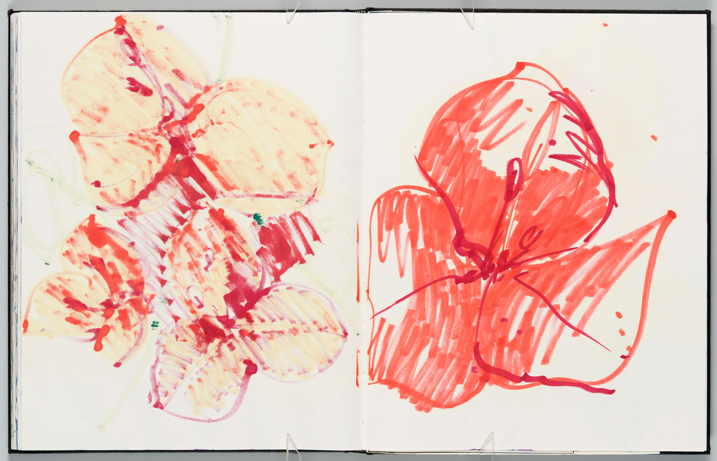 Untitled (Bleed-Through Of Previous Page, Left Page); Untitled (Bougainvillea, Right Page)