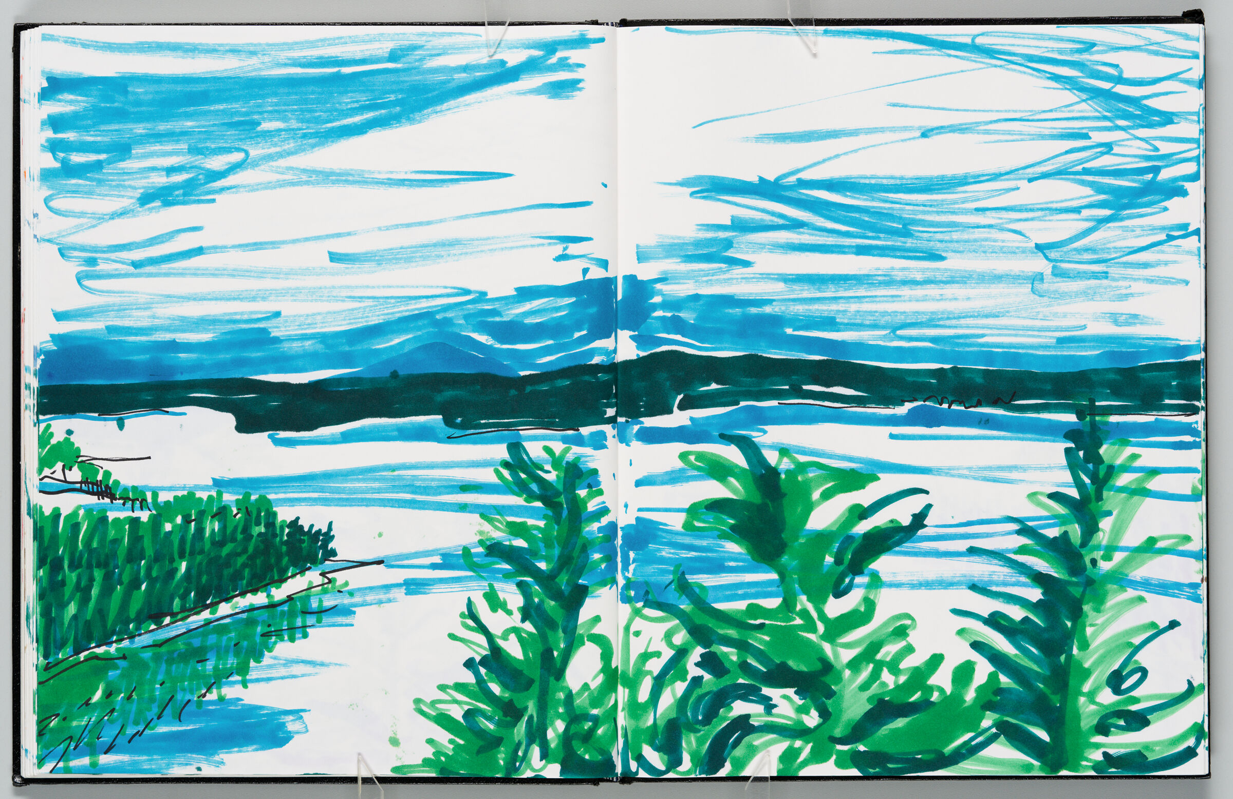Untitled (Maine Landscape, Two-Page Spread)