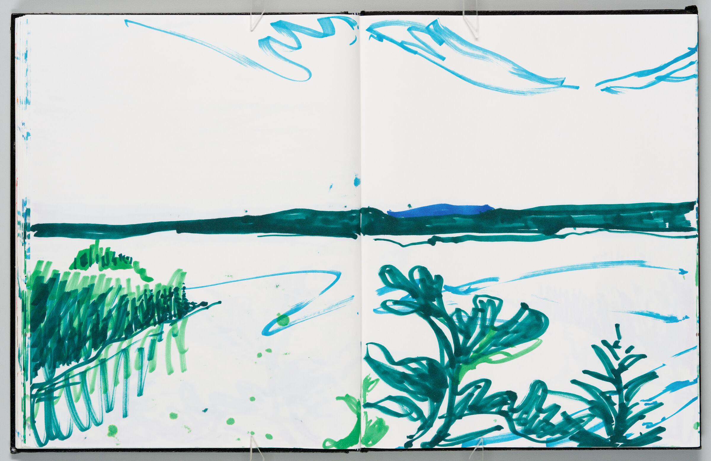 Untitled (Maine Landscape, Two-Page Spread)