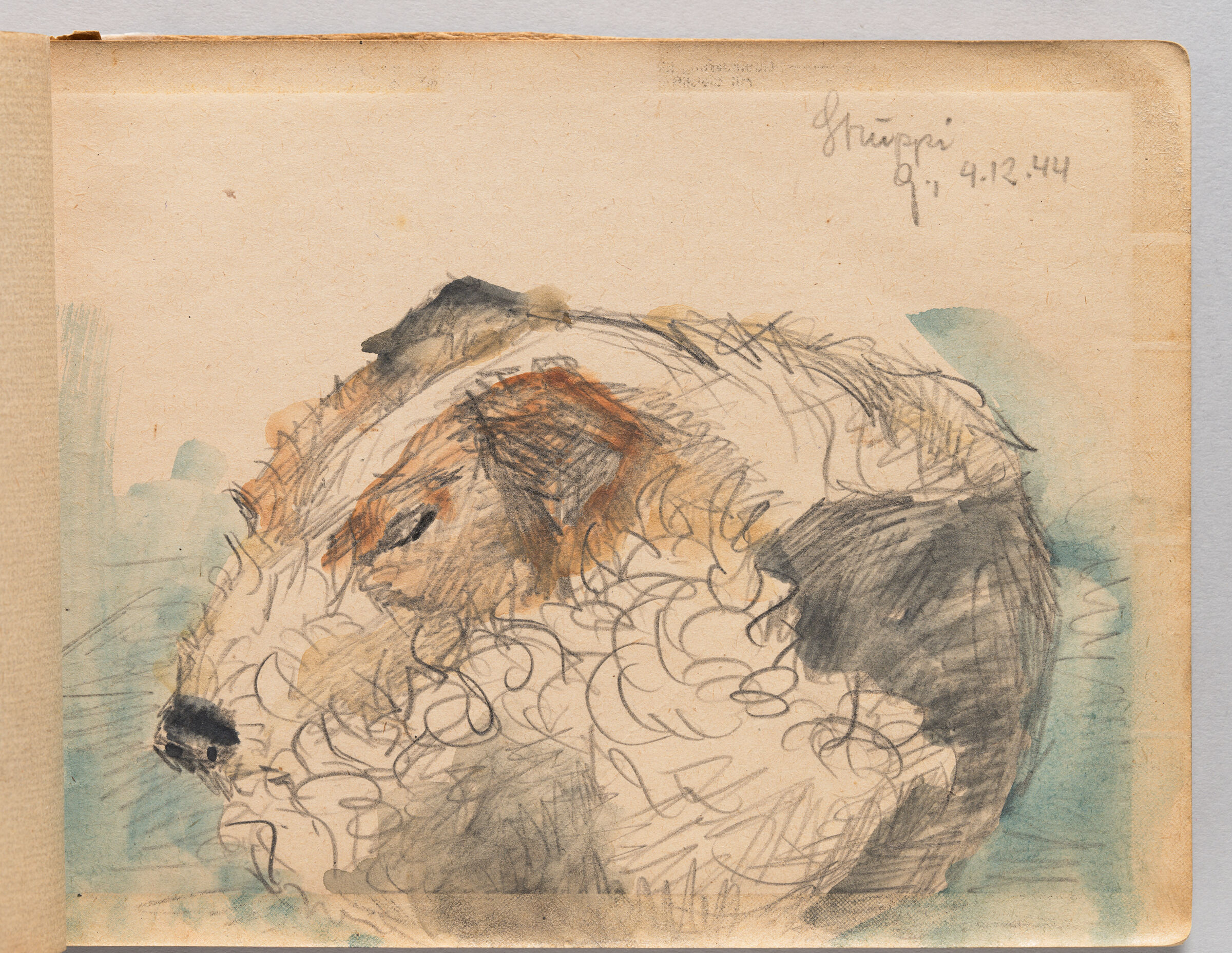Untitled (Blank With Graphite Transfer, Left Page); Untitled (Sleeping Dog, Right Page)